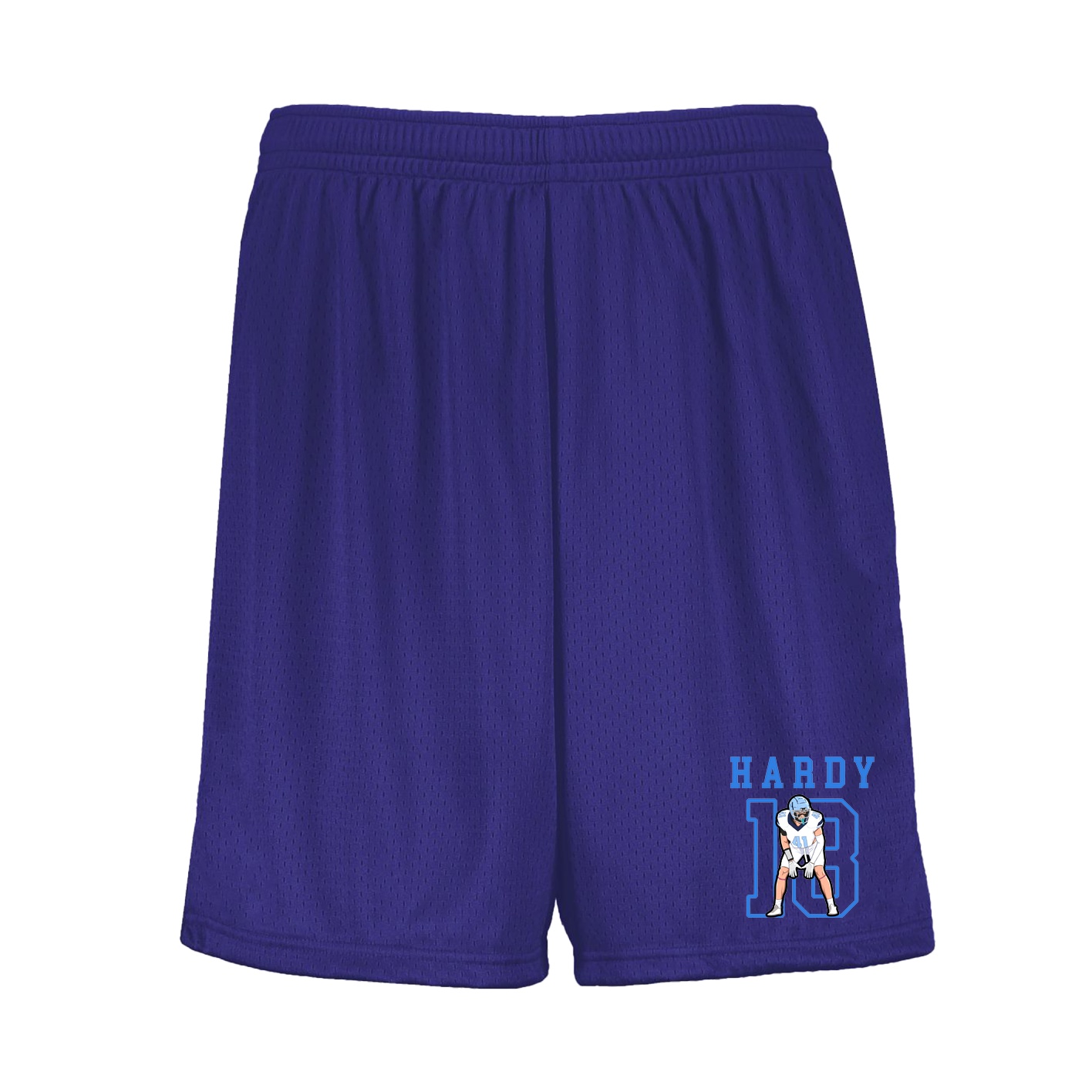 Shorts — Shirsey in Purple