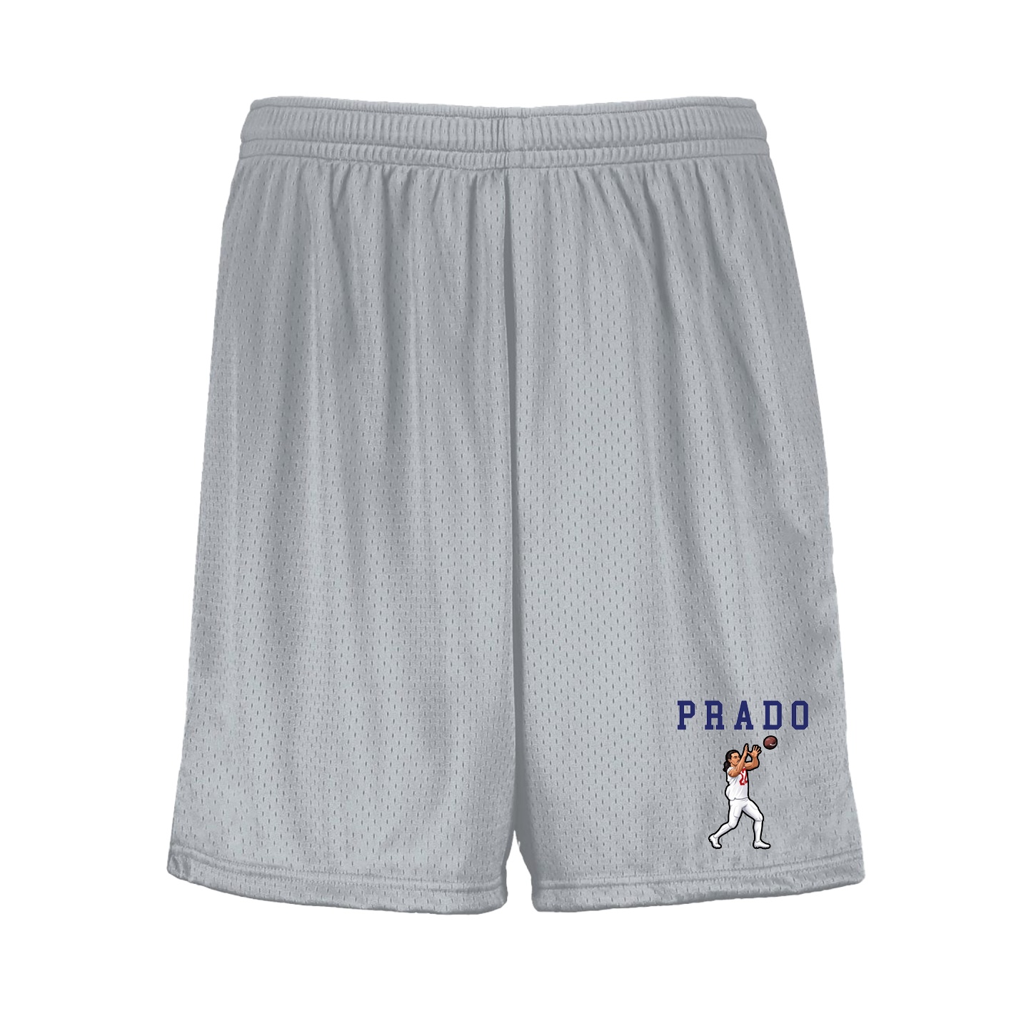 Shorts — Shirsey in Silver