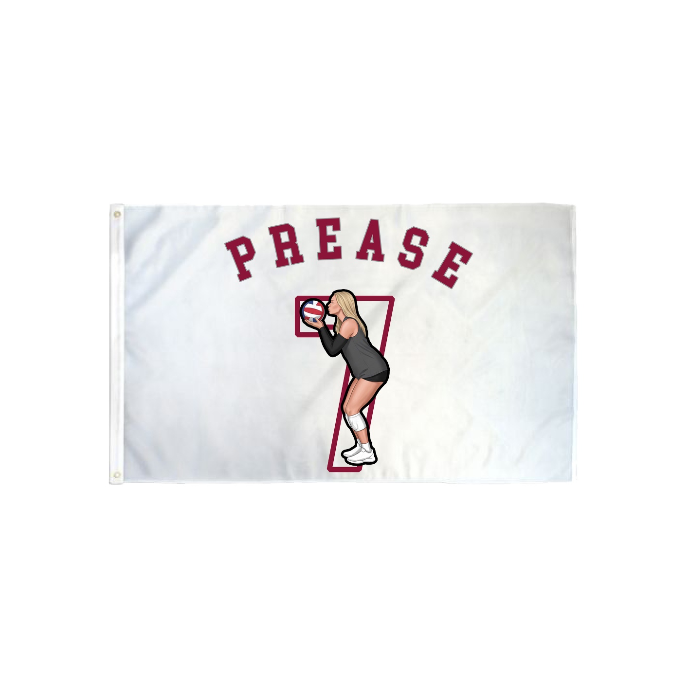 3x5 Flag — Shirsey Arch in Classic