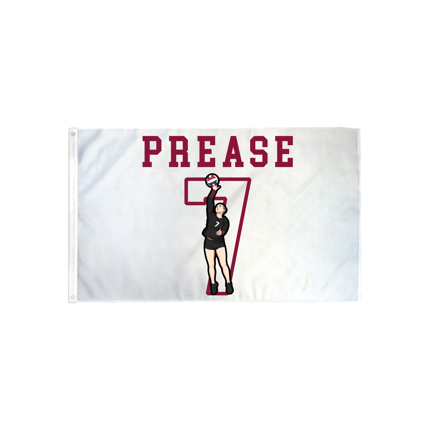3x5 Flag — Shirsey in Classic