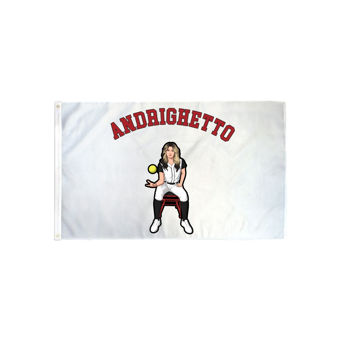 3x5 Flag — Shirsey Arch in Classic