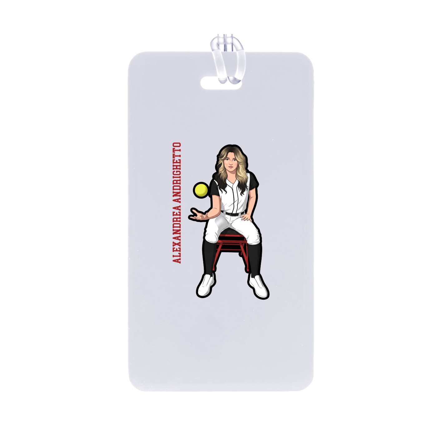 Identity Bag Tag