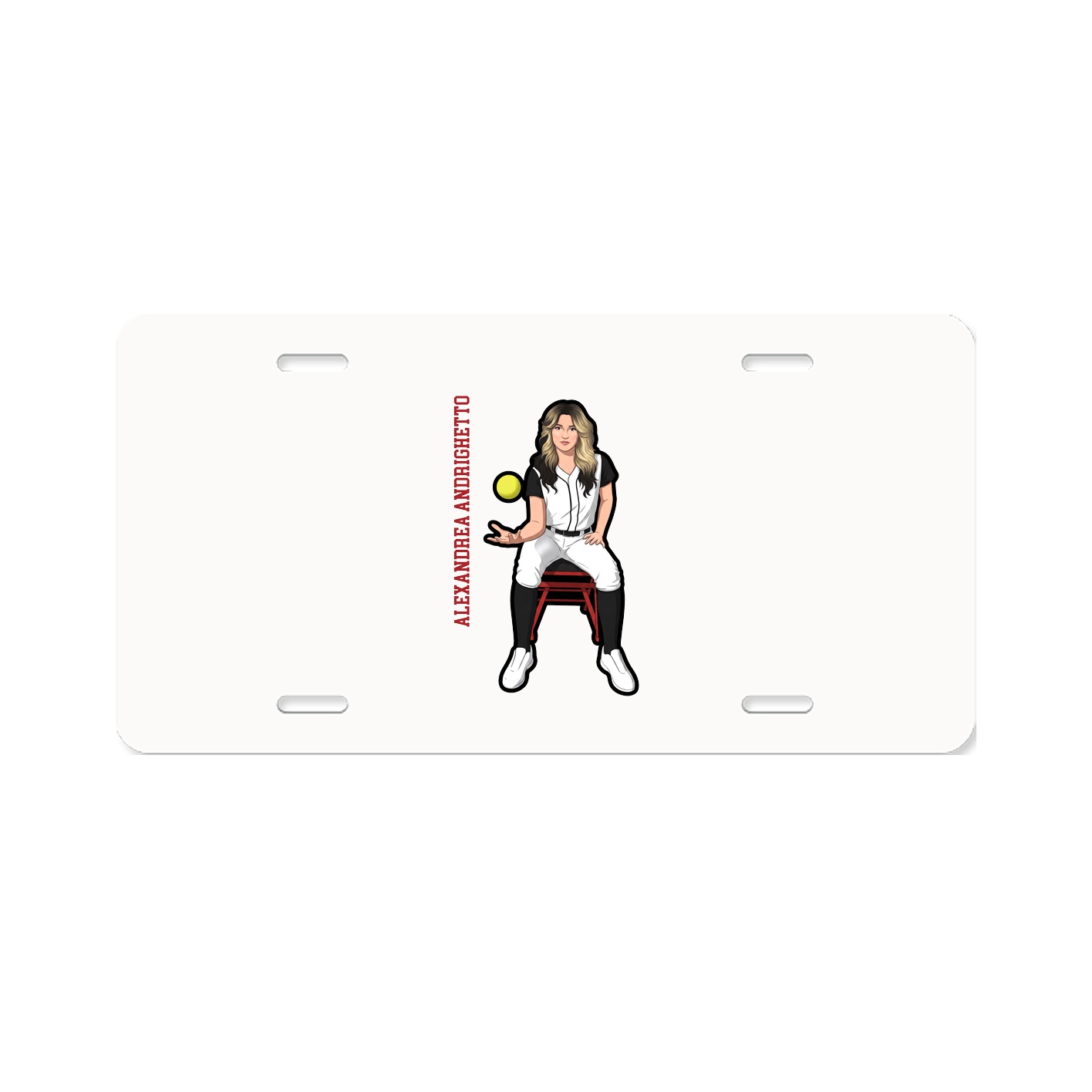 Aluminum License Plate