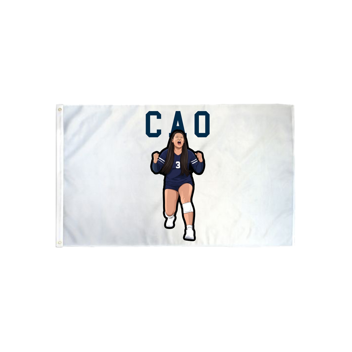 3x5 Flag — Shirsey in Classic