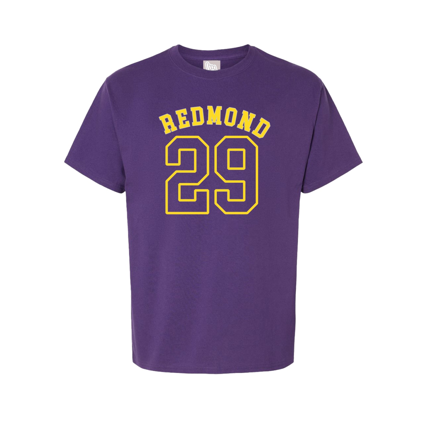 Youth Tee — Shirsey Arch in Purple