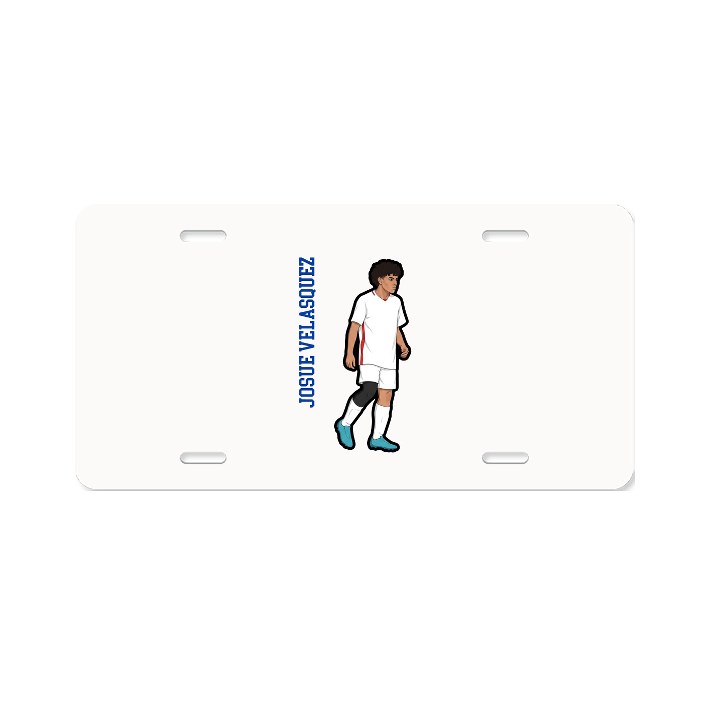 Aluminum License Plate