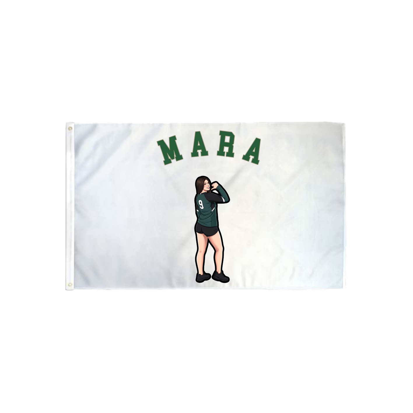 3x5 Flag — Shirsey Arch in Classic