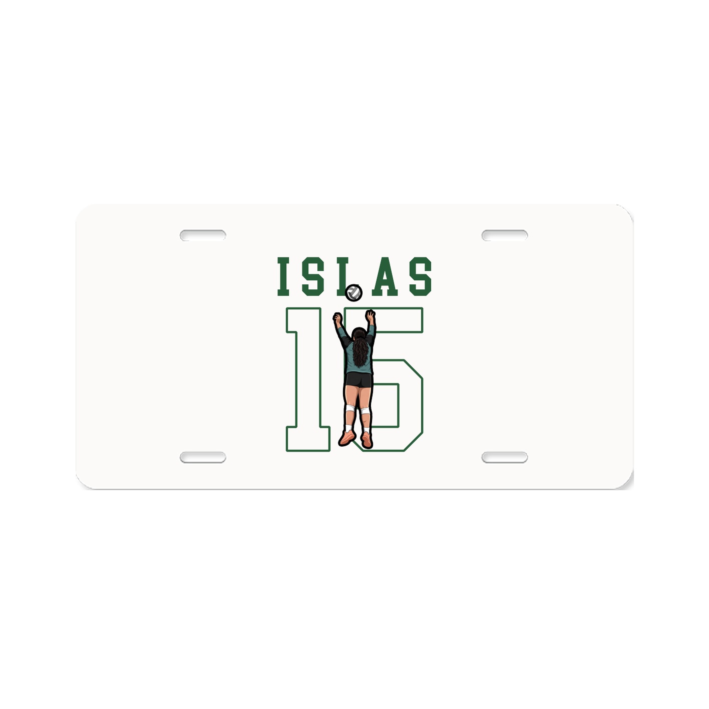 Aluminum License Plate