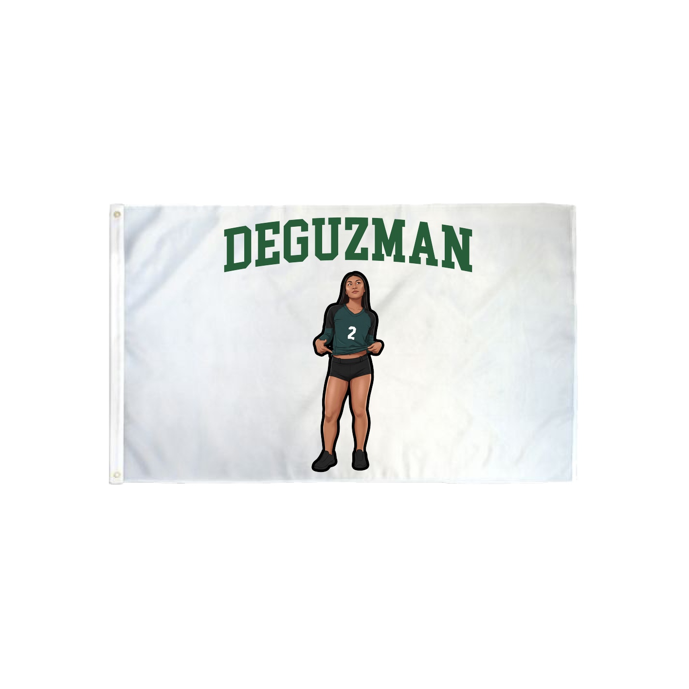 3x5 Flag — Shirsey in Classic