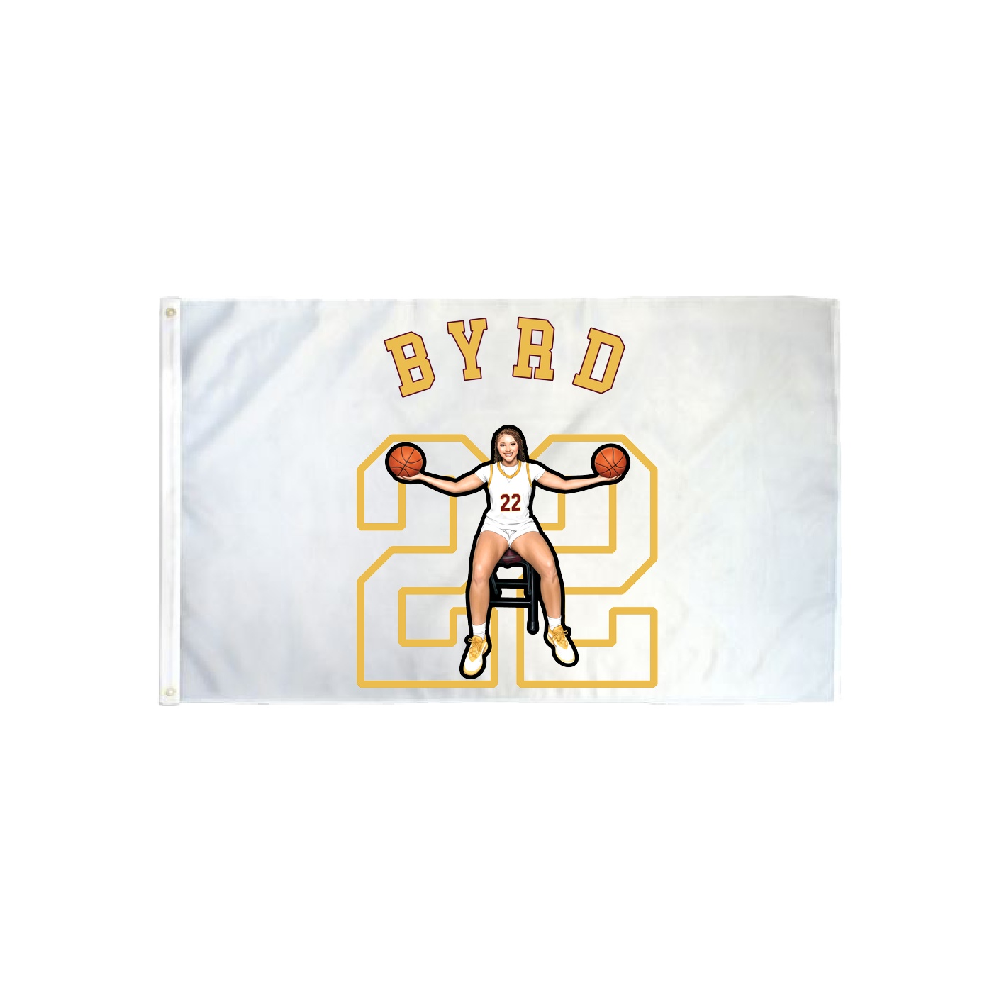3x5 Flag — Shirsey Arch in Classic