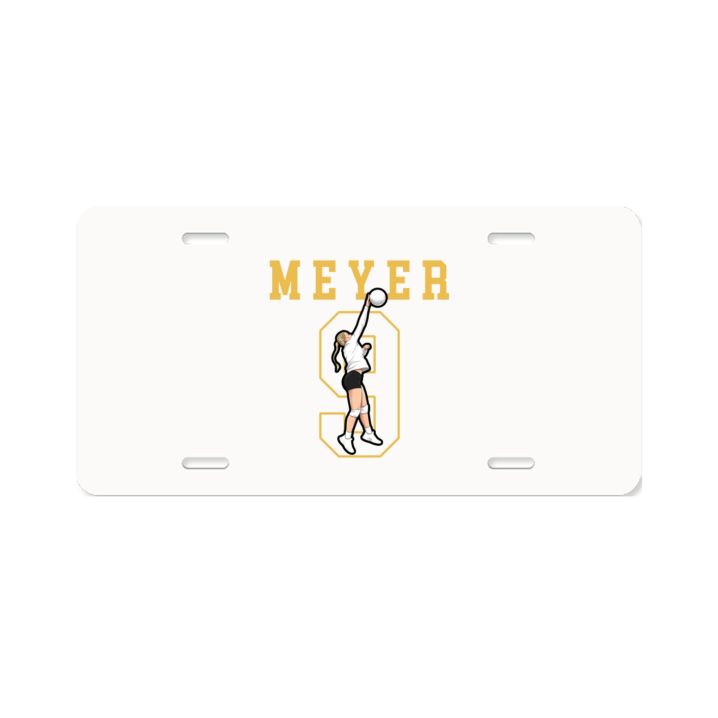License Plate
