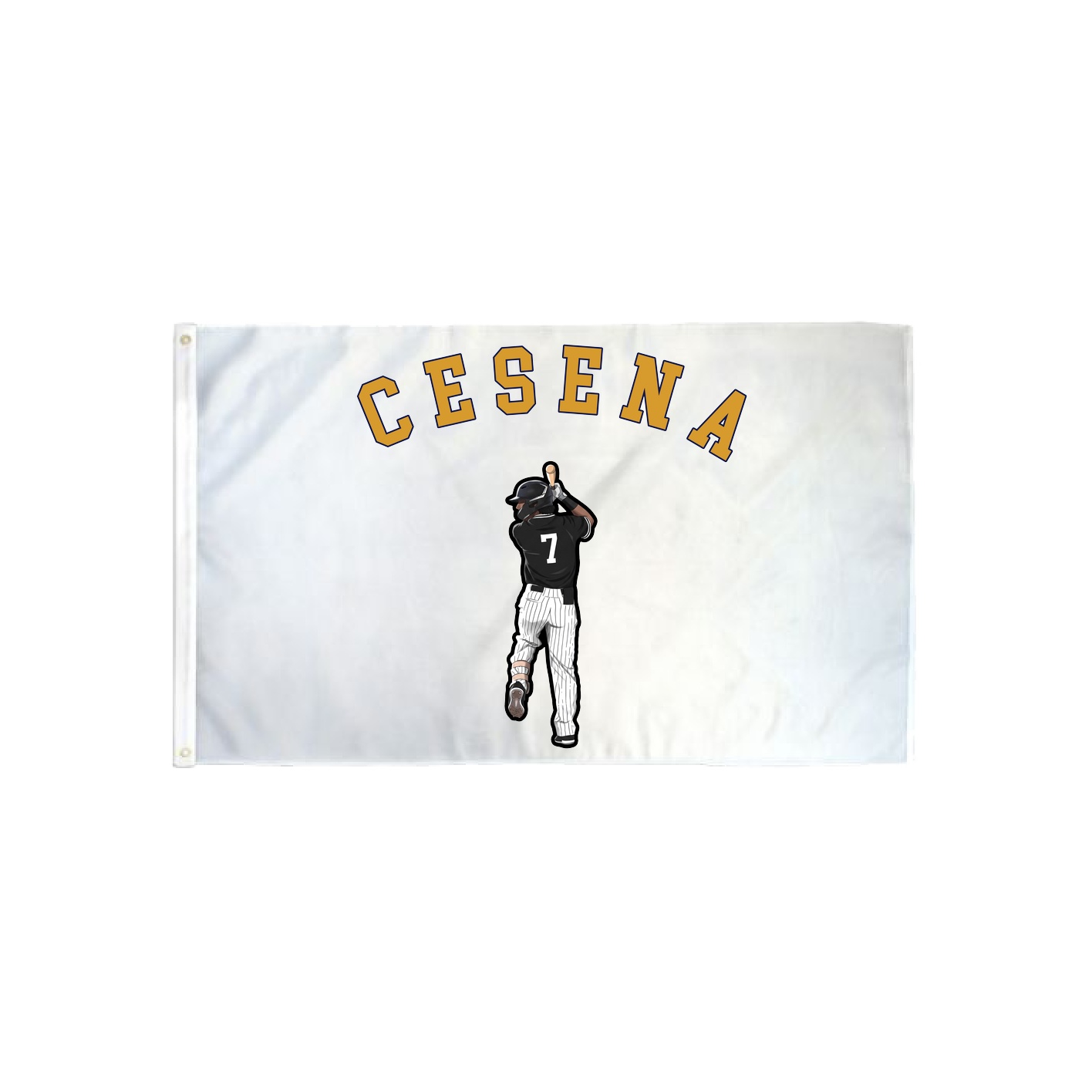 3x5 Flag — Shirsey Arch in Classic