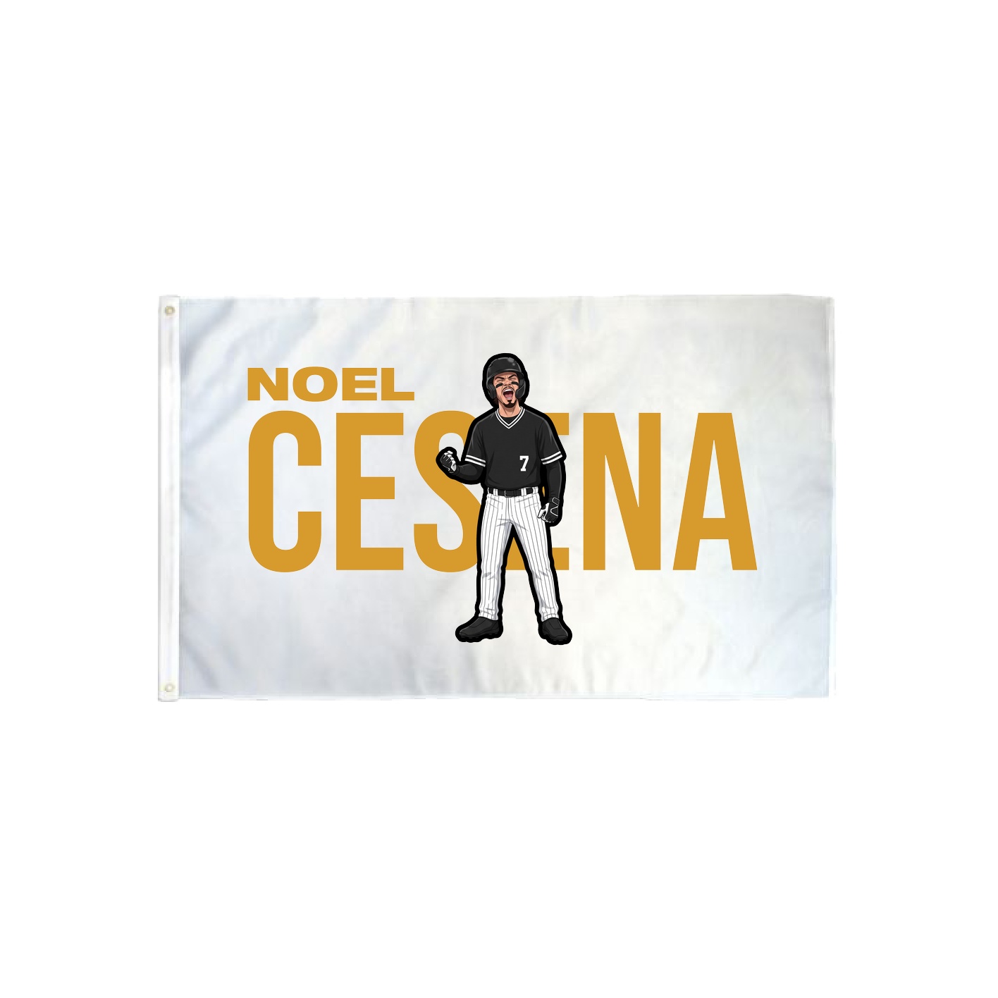 3x5 Flag — Player Name in Classic