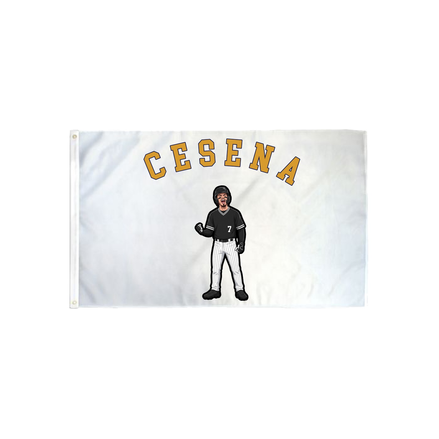 3x5 Flag — Shirsey Arch in Classic