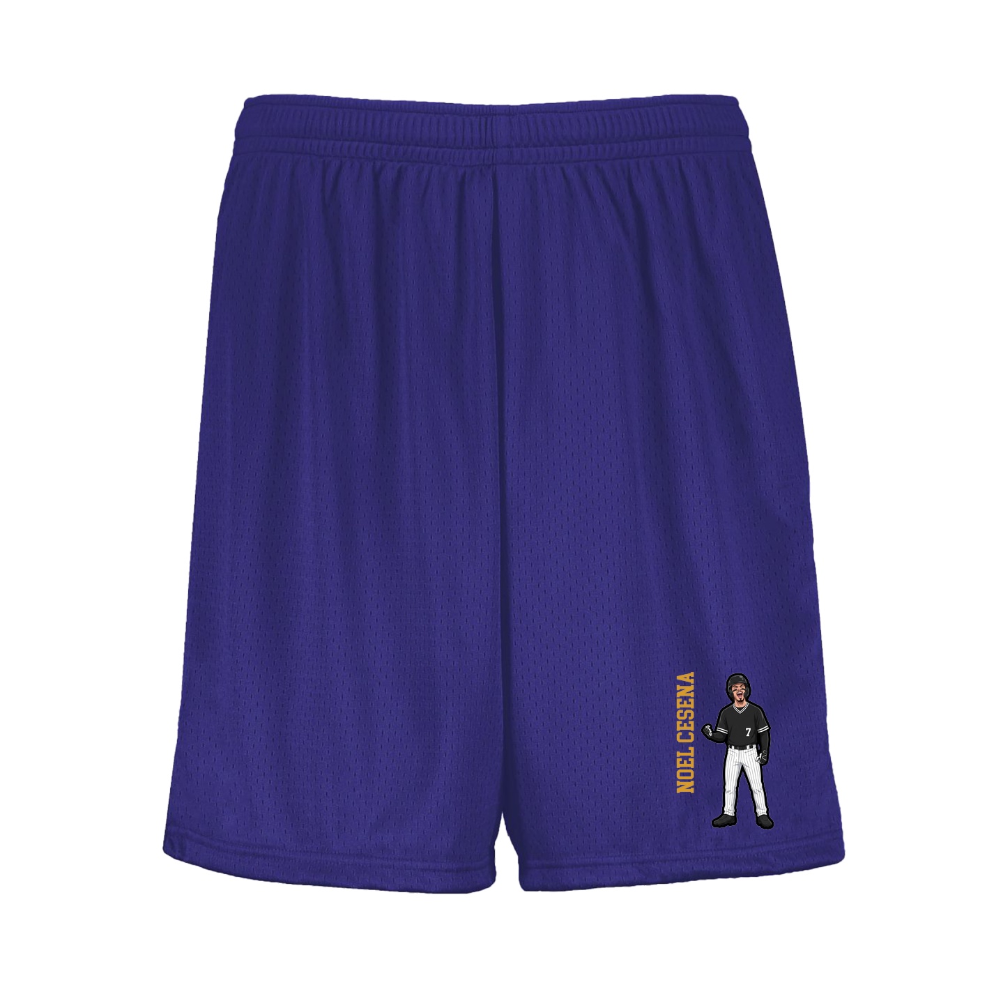 Shorts — Name Vertical in Purple