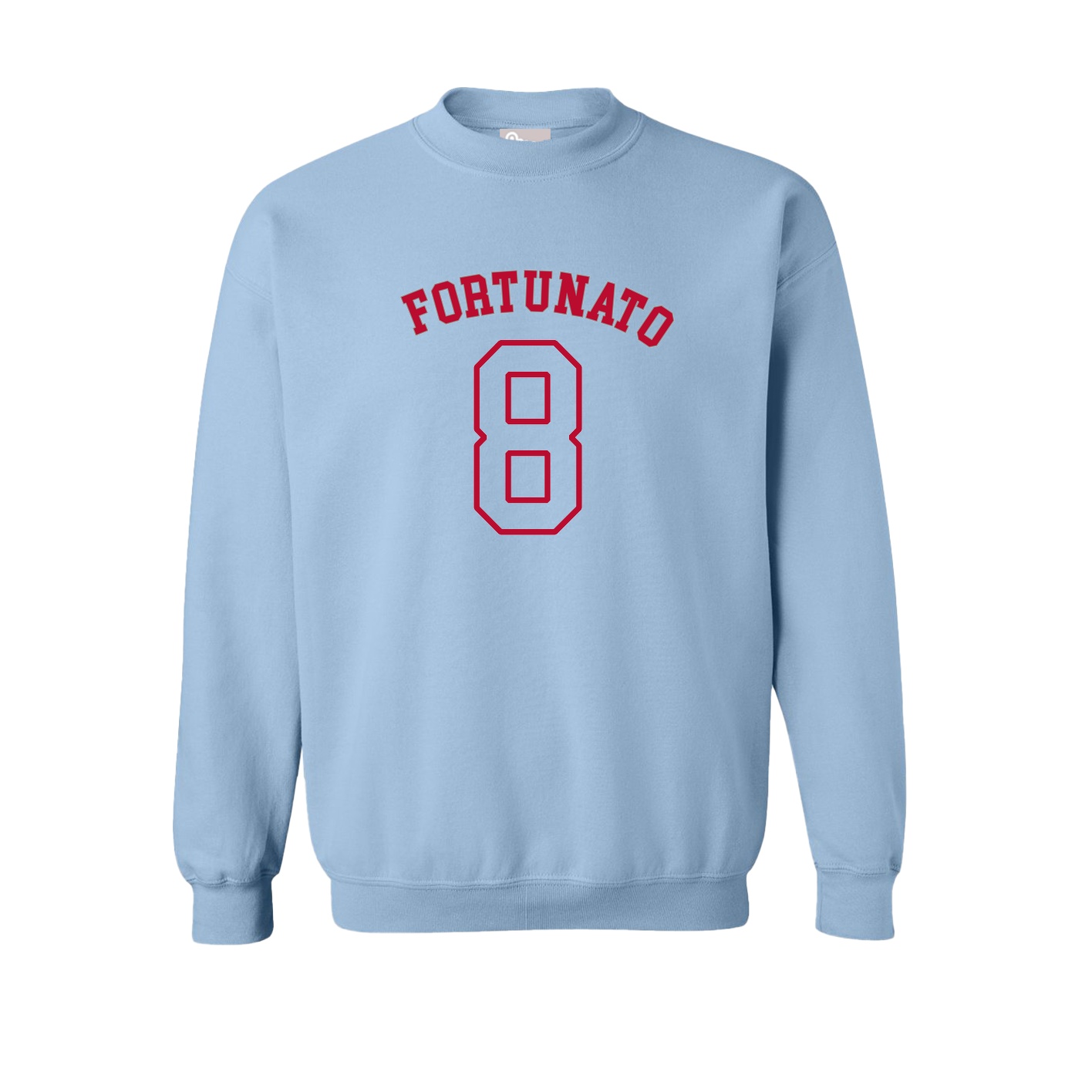 Fleece Crew — Shirsey Arch in Light Blue