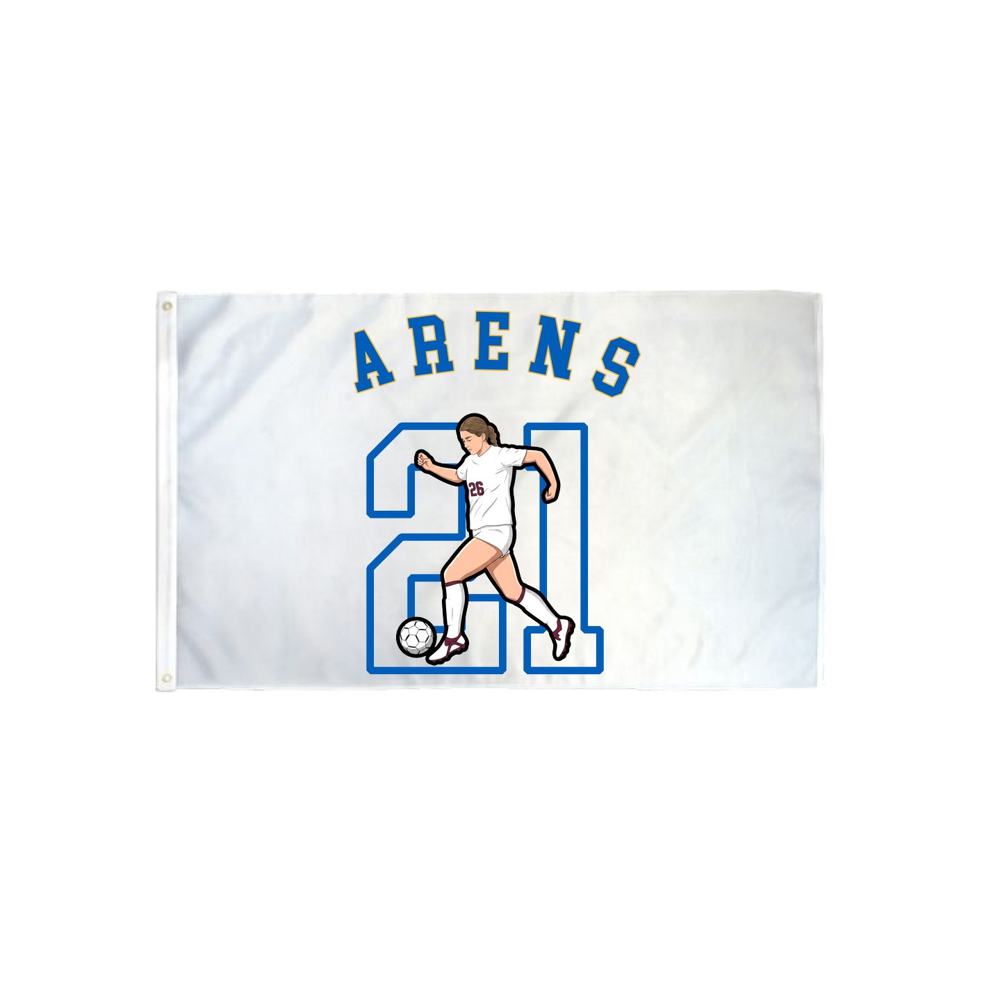 3x5 Flag — Shirsey Arch in Classic