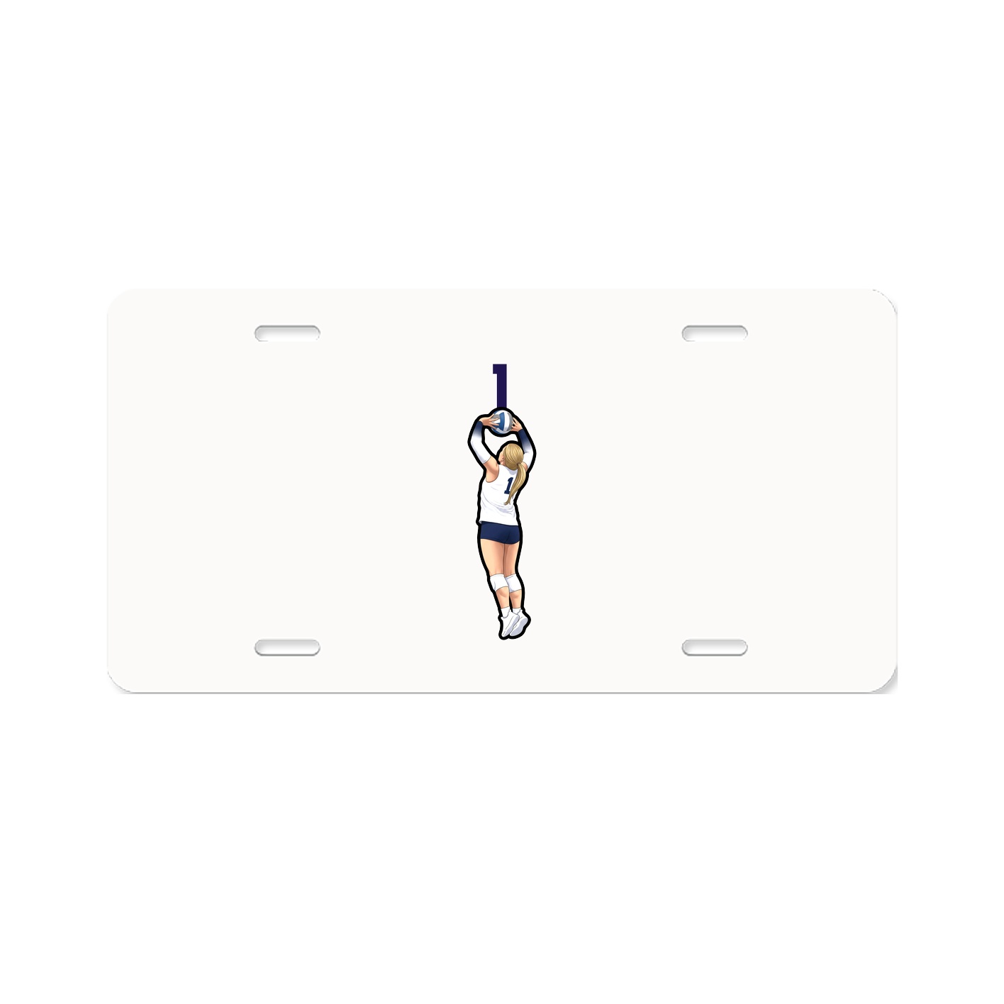 Aluminum License Plate