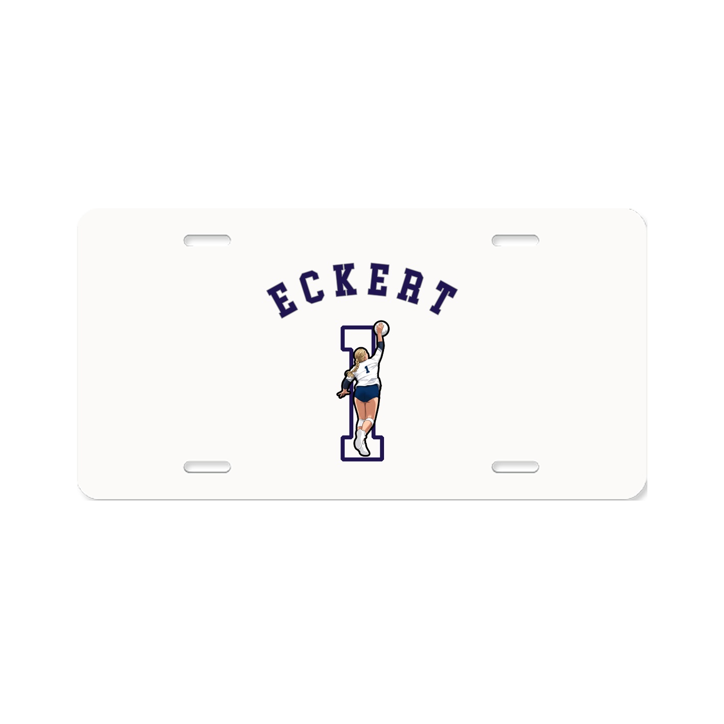 Aluminum License Plate