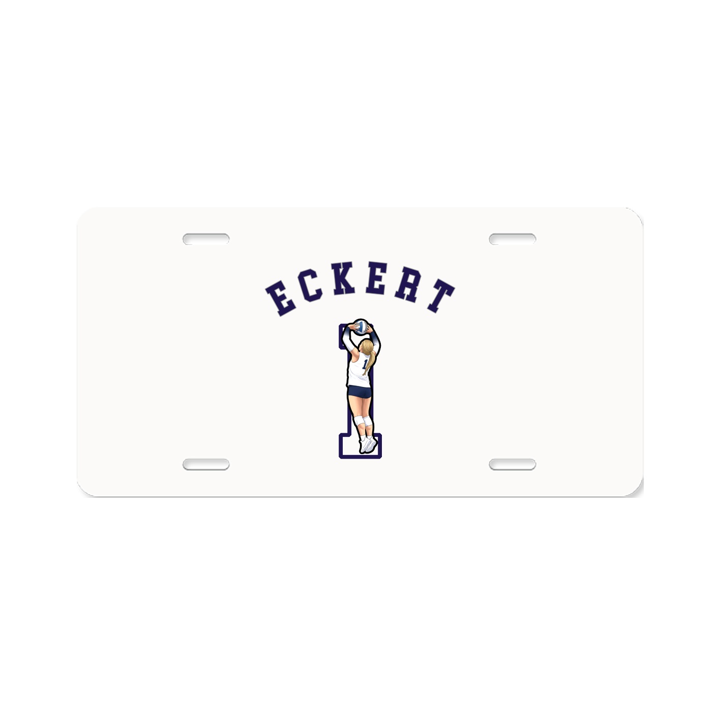 Aluminum License Plate