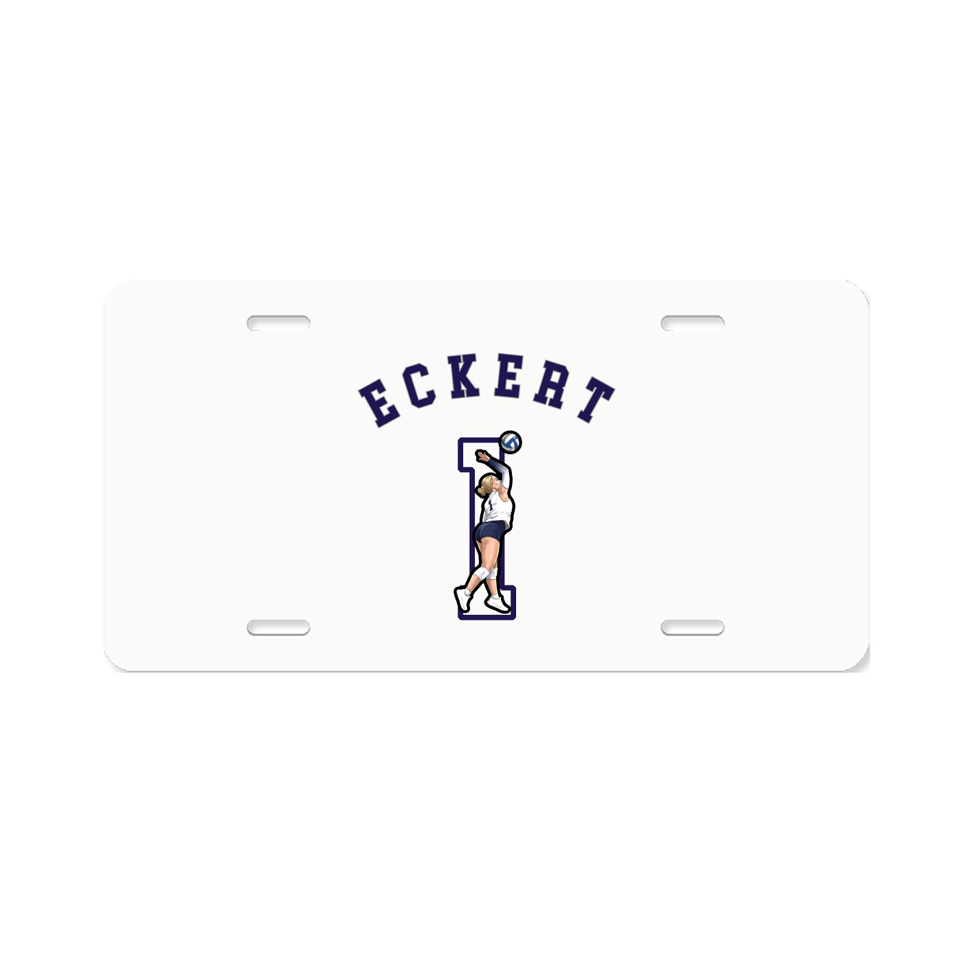 Aluminum License Plate