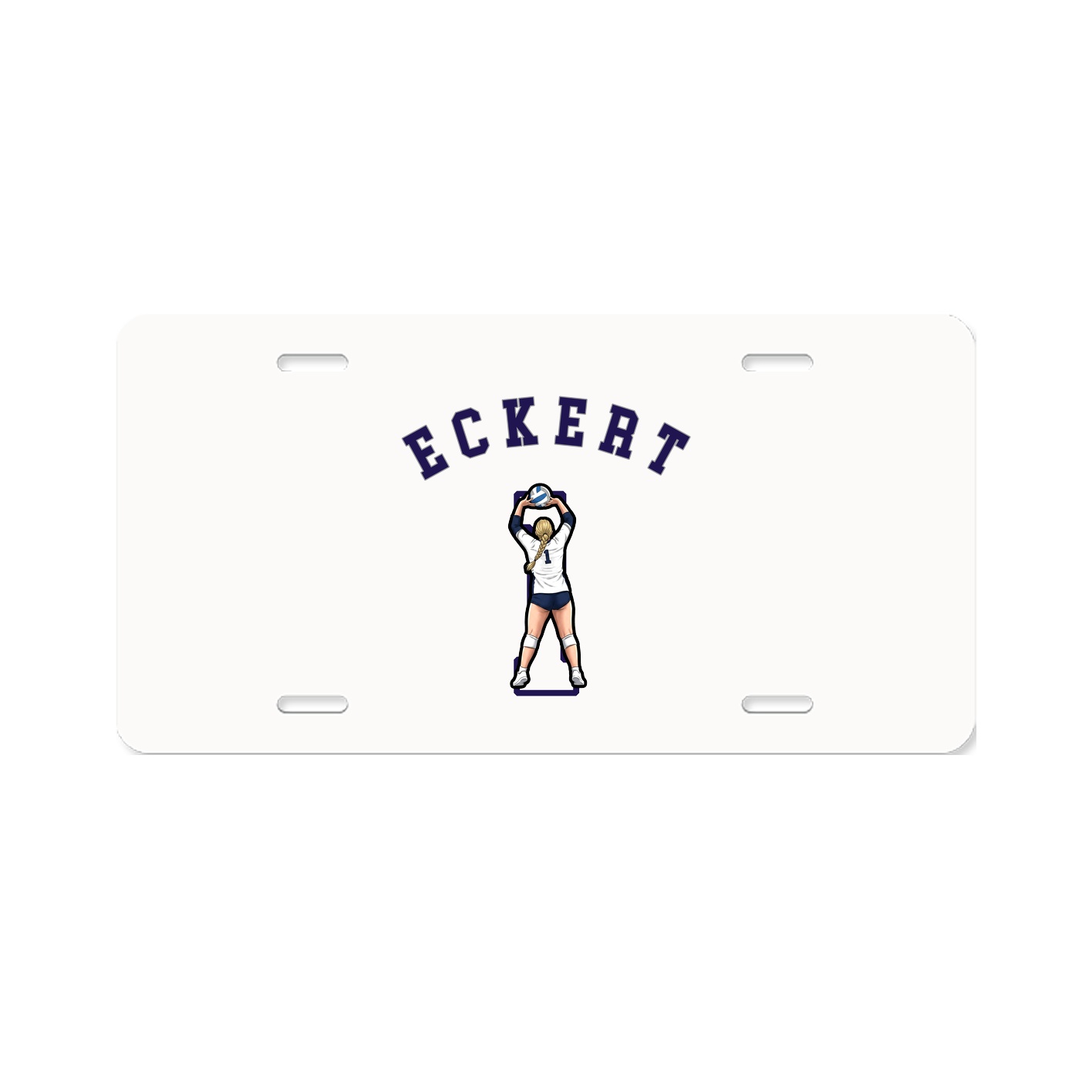 Aluminum License Plate