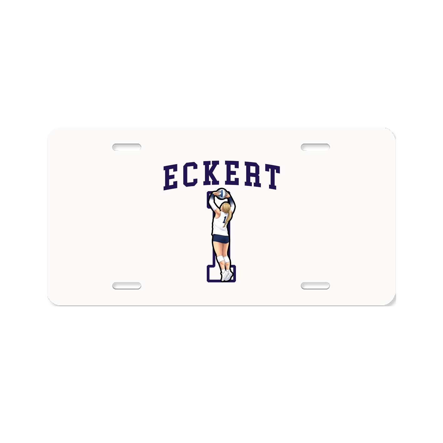 Aluminum License Plate