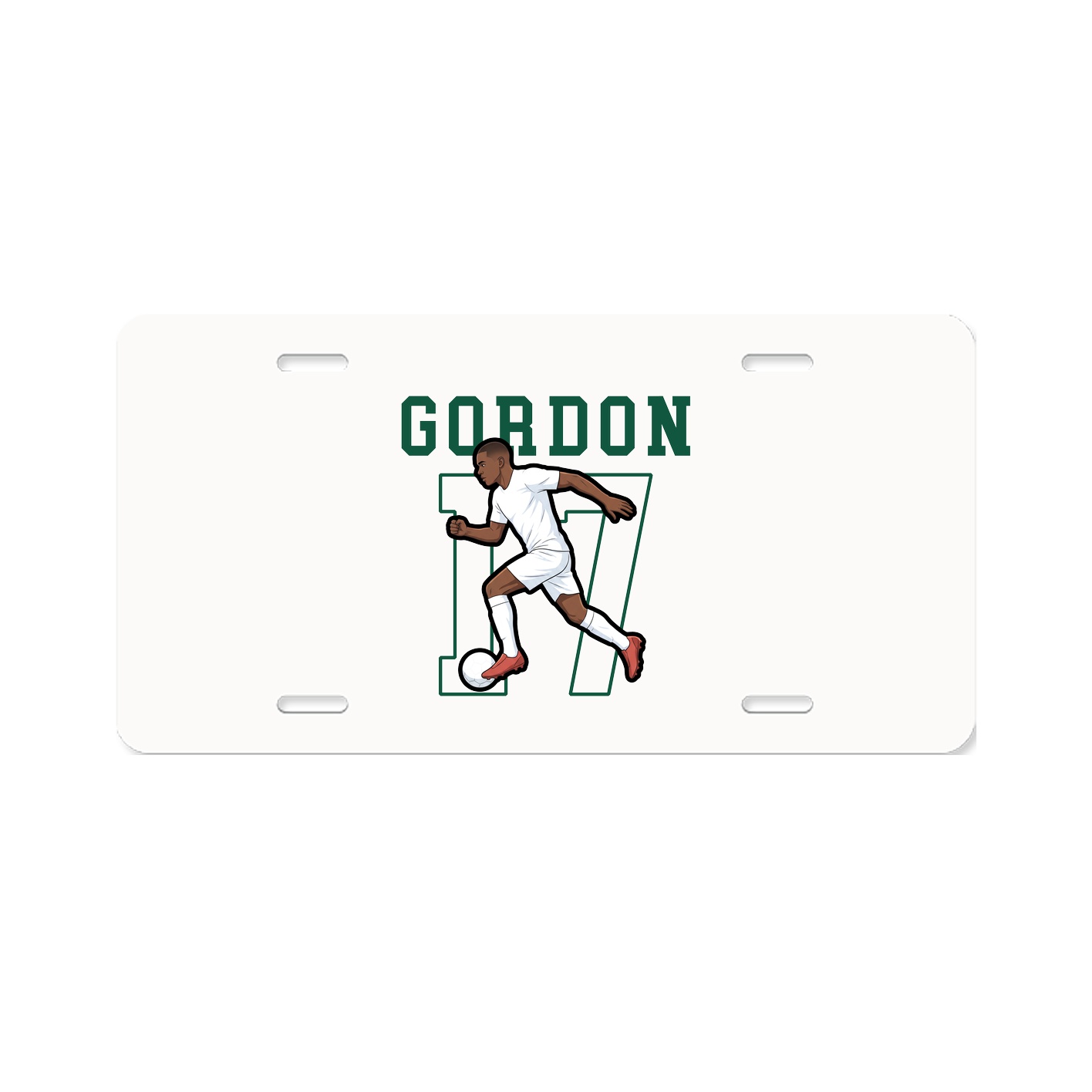 Aluminum License Plate