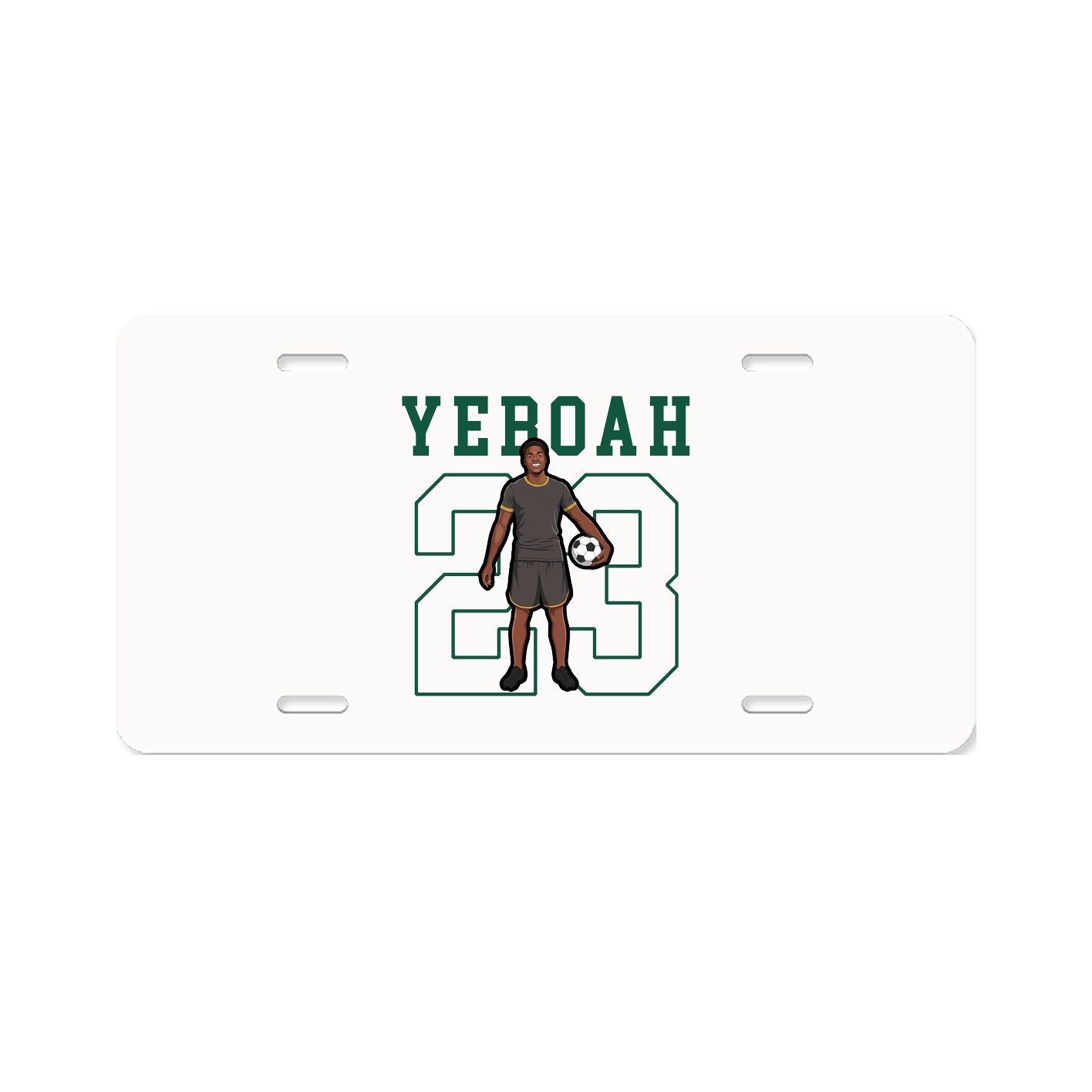 Aluminum License Plate