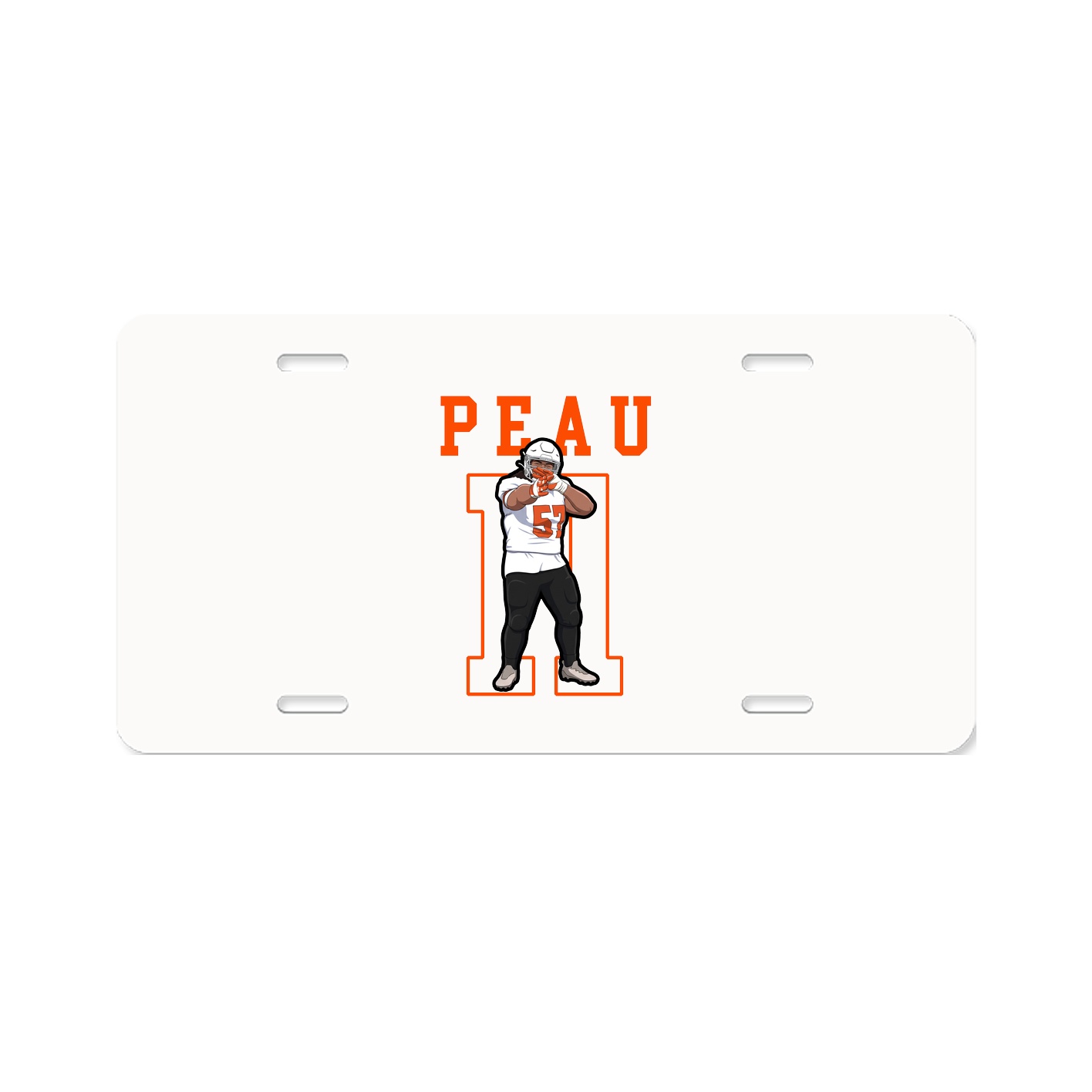 License Plate