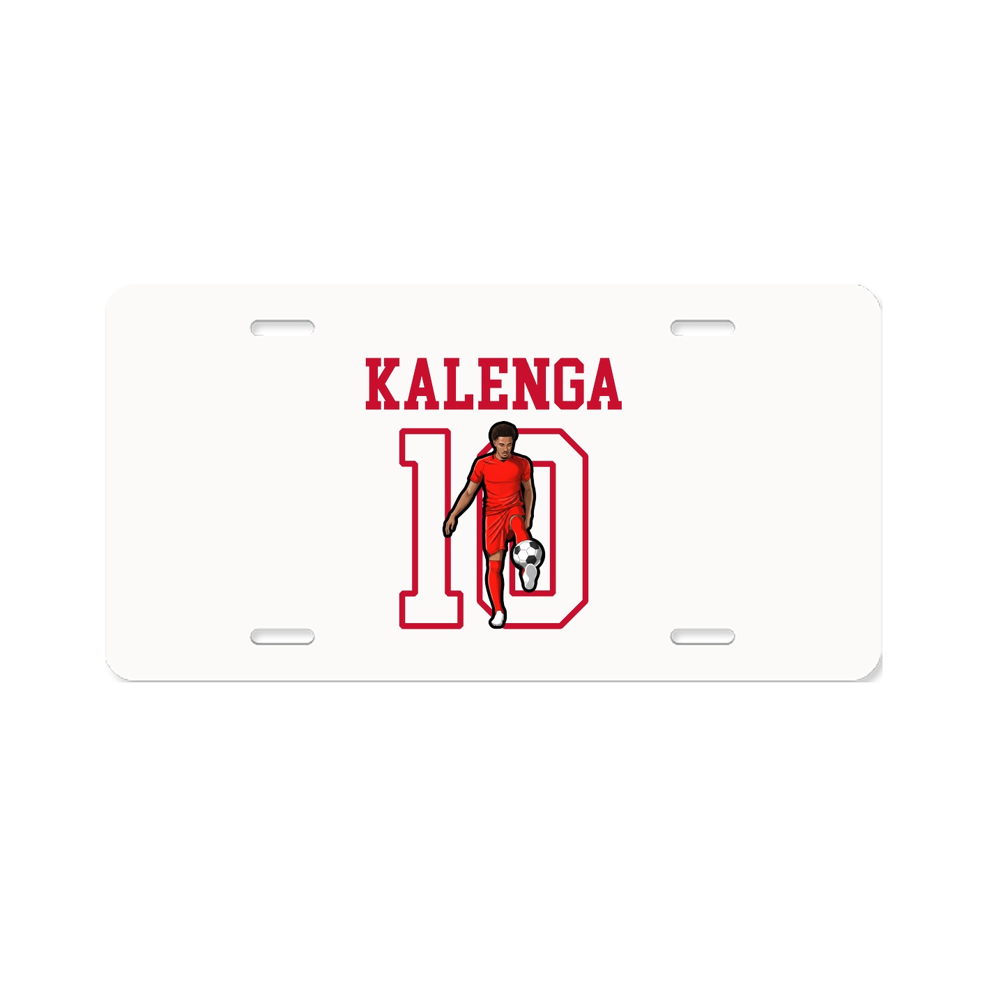 Aluminum License Plate