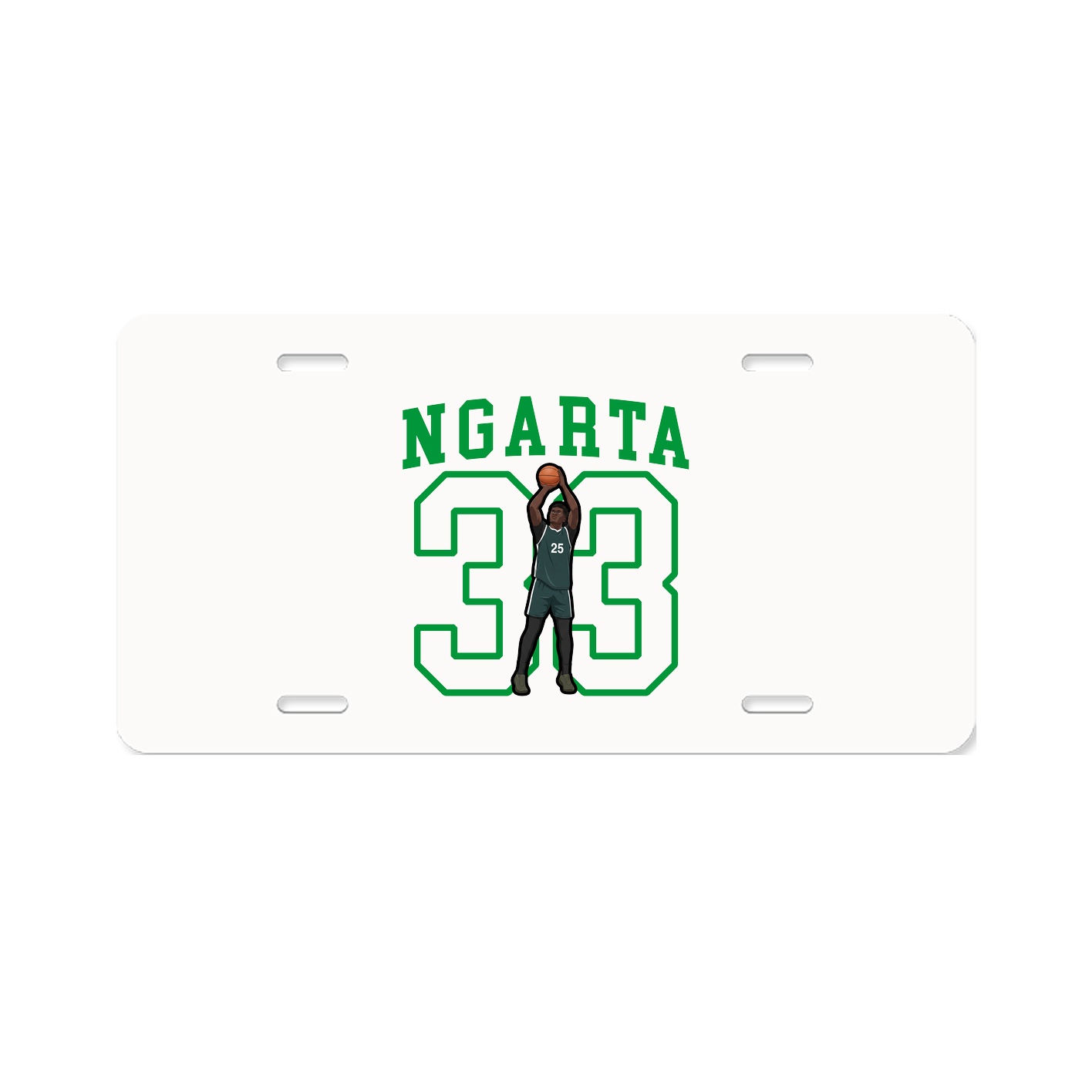 Aluminum License Plate
