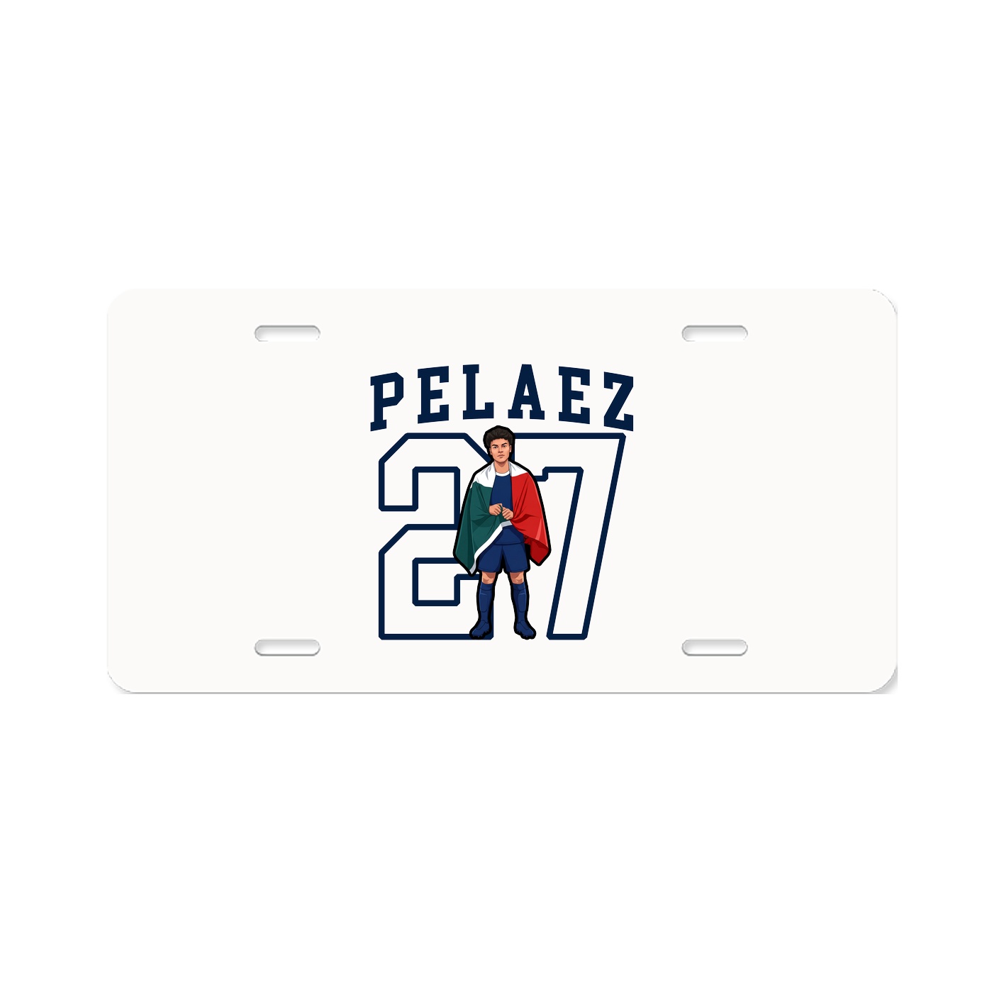 Aluminum License Plate