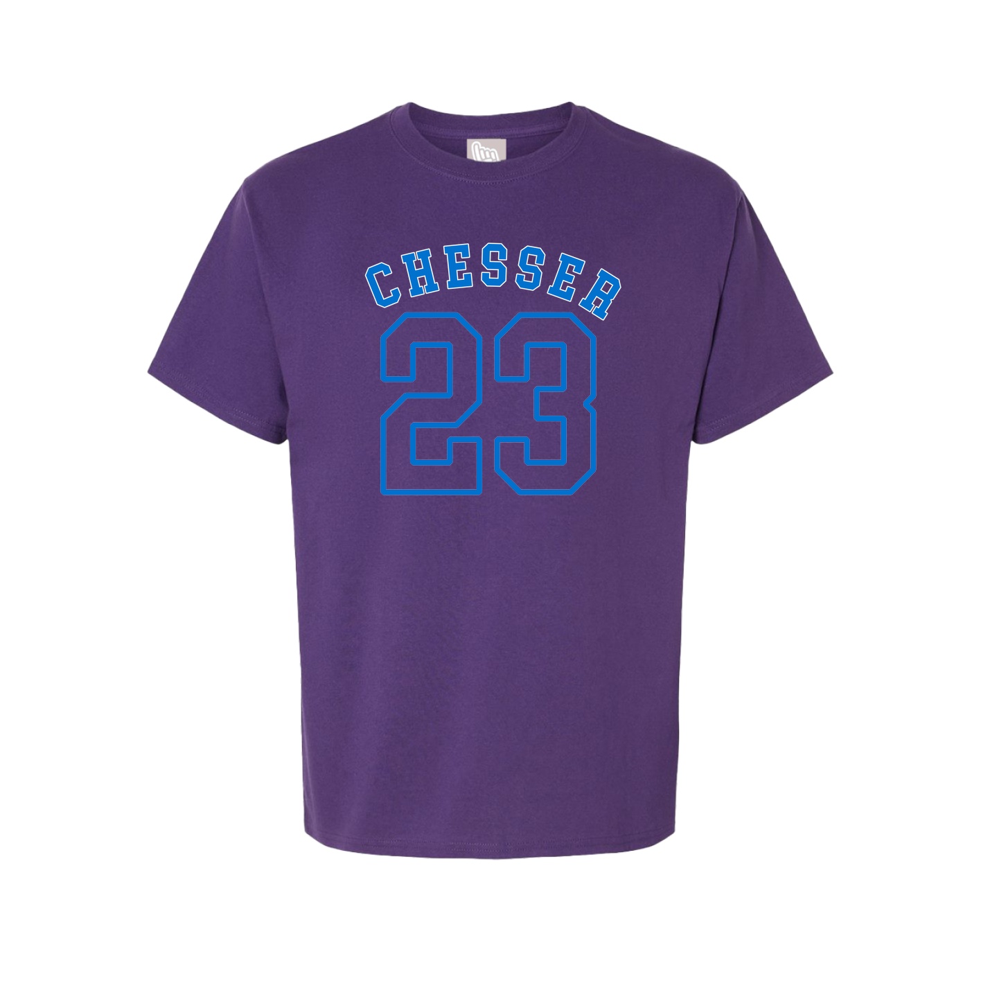 Youth Tee — Shirsey Arch in Purple