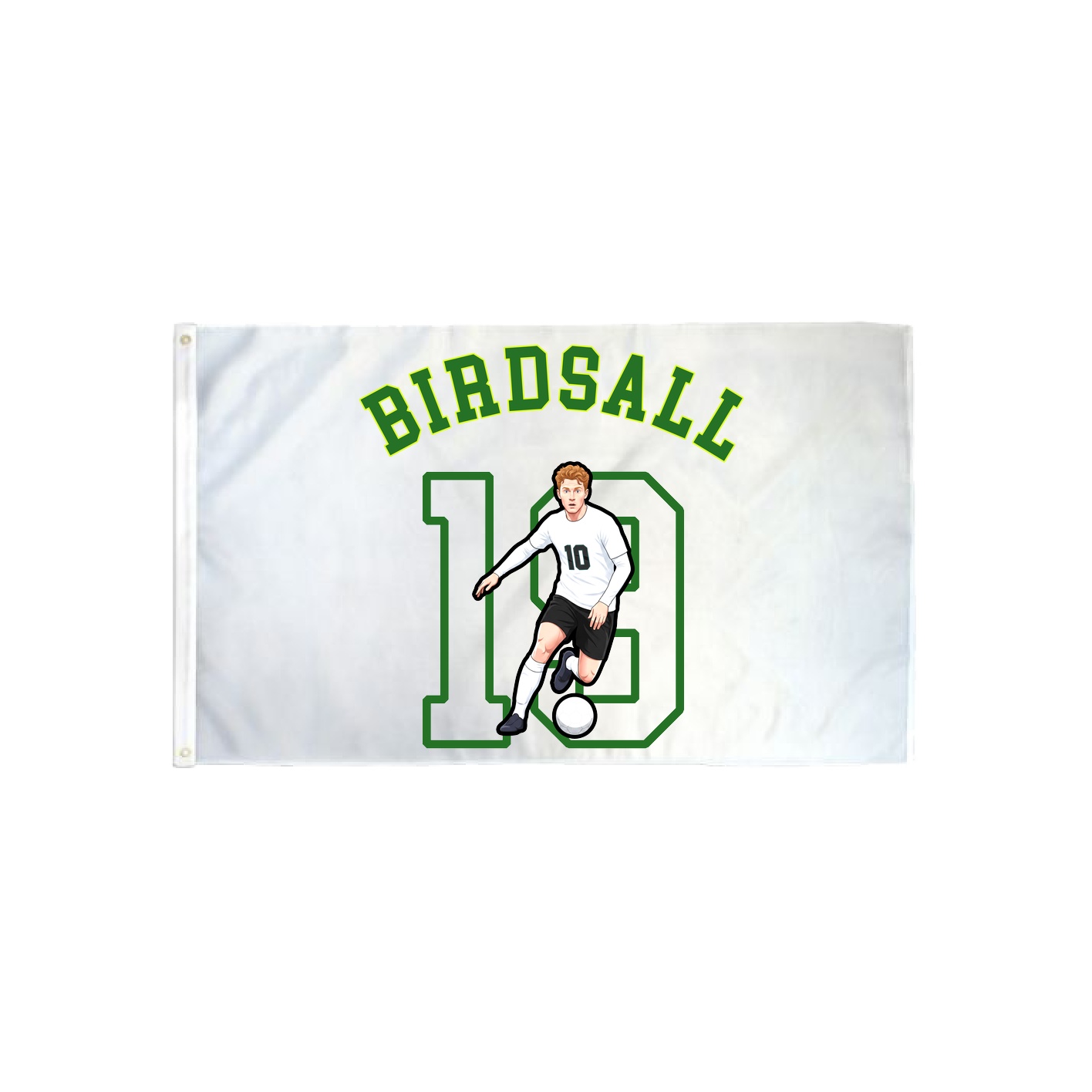 3x5 Flag — Shirsey Arch in Classic