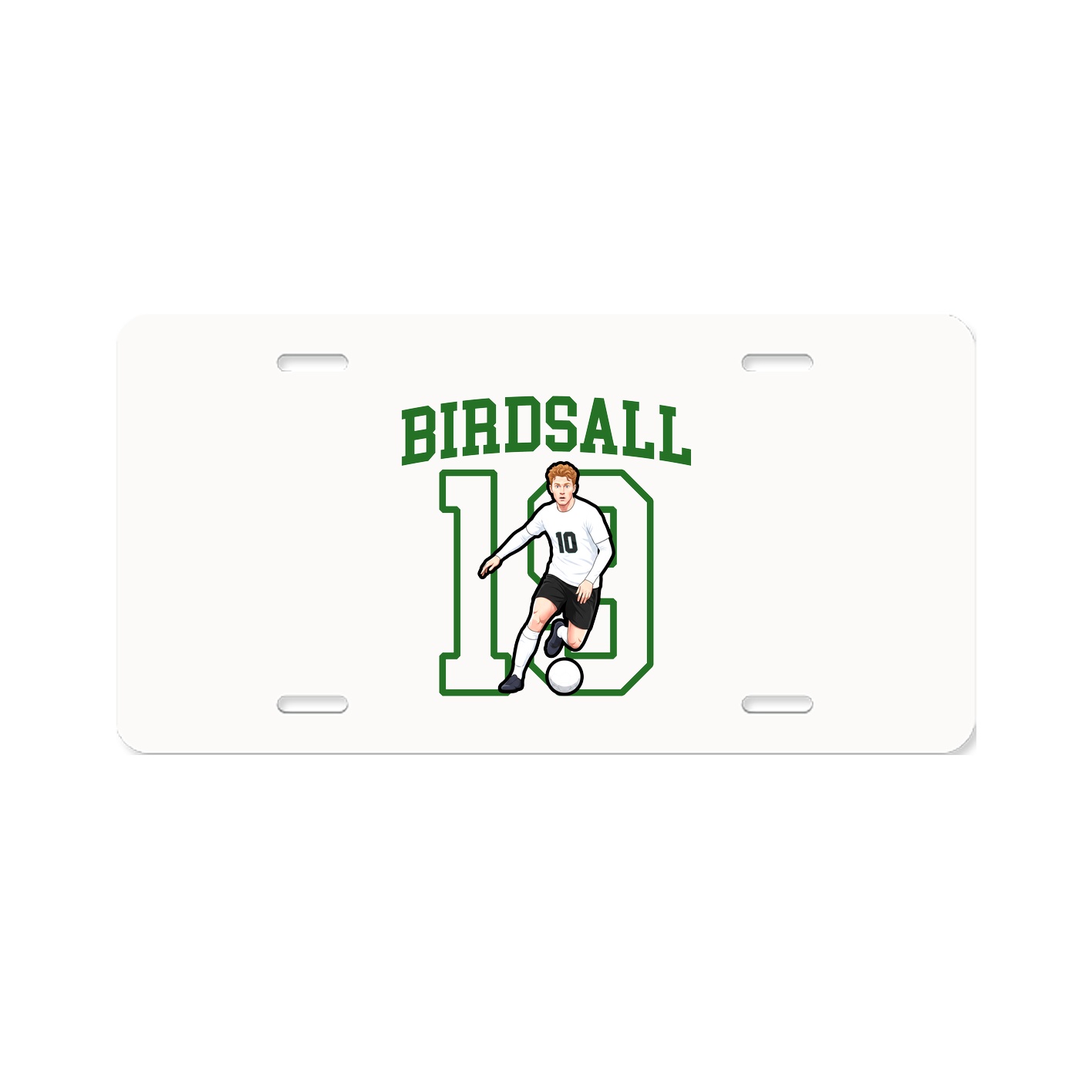 Aluminum License Plate