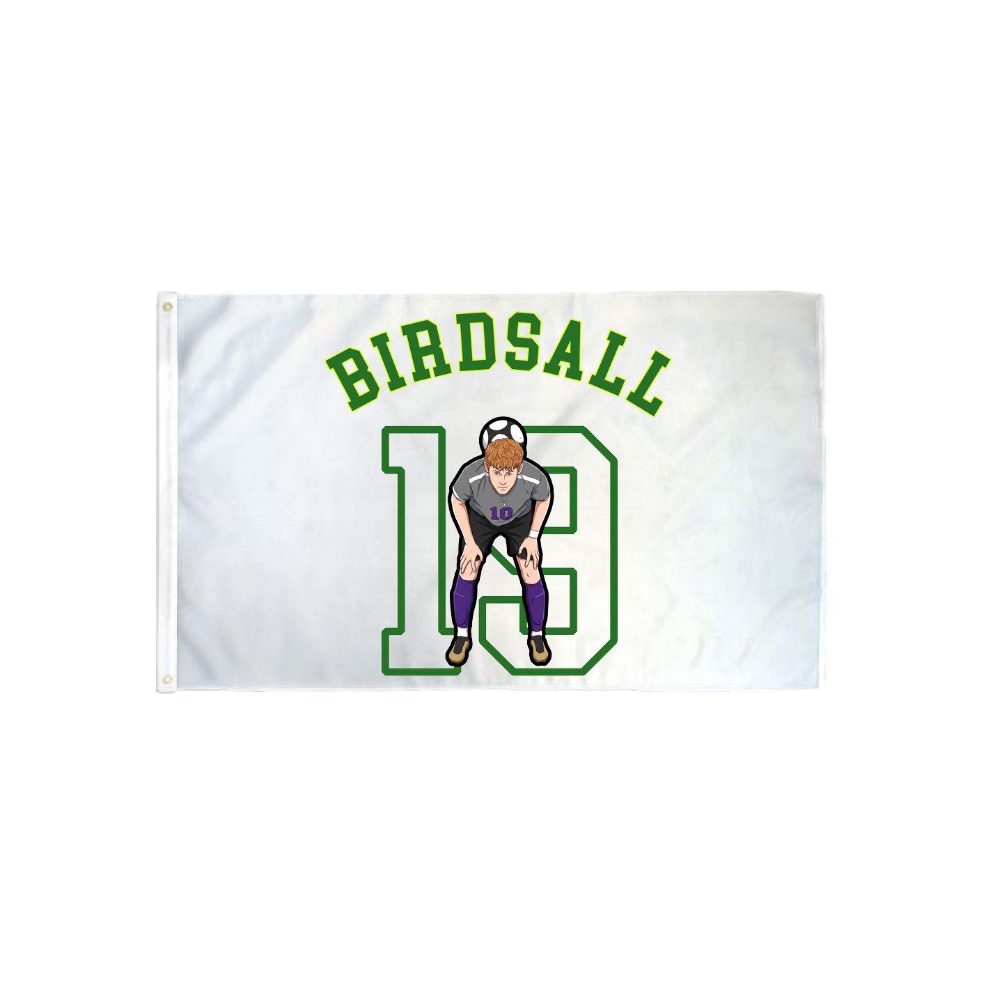 3x5 Flag — Shirsey Arch in Classic