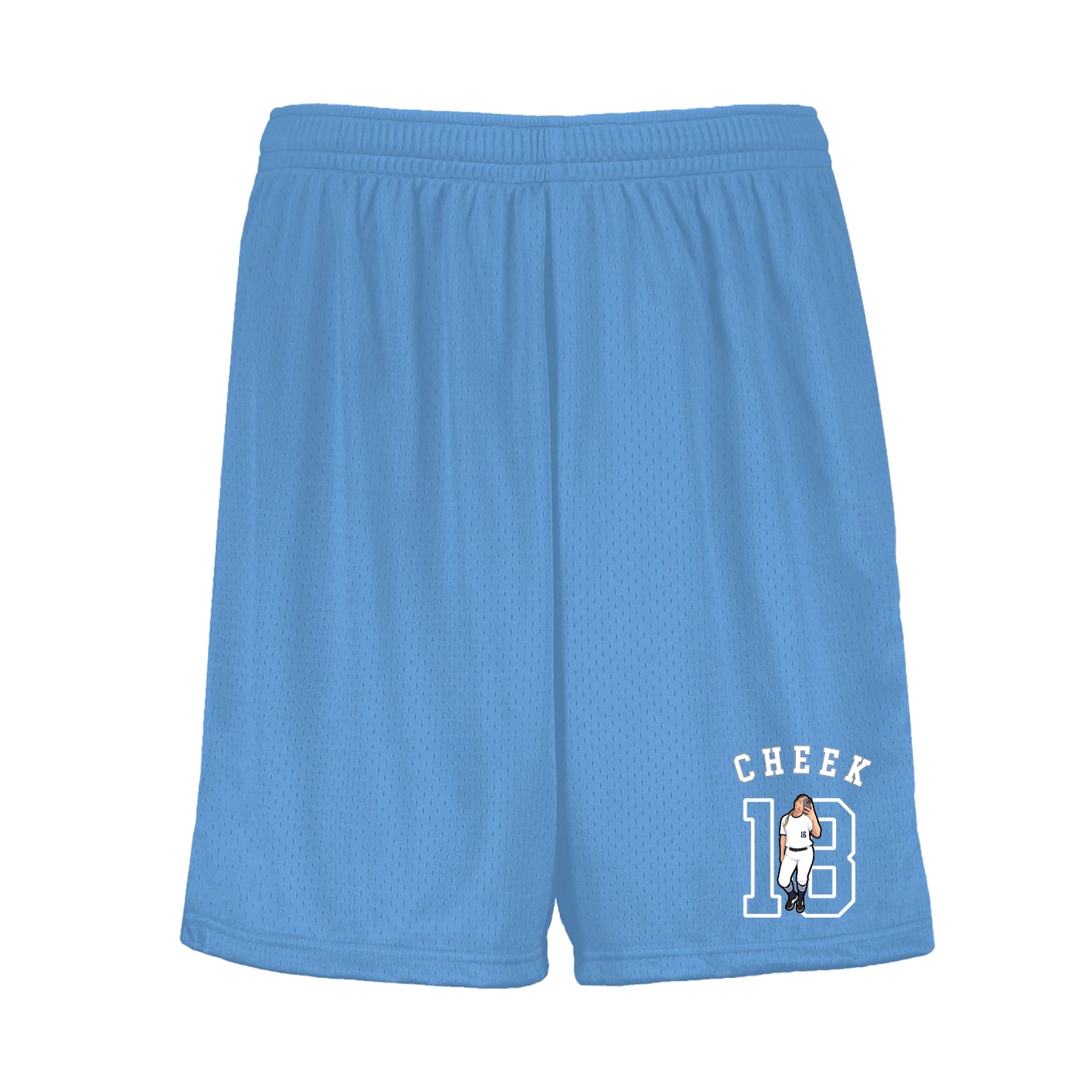 Shorts — Shirsey Arch in Light Blue