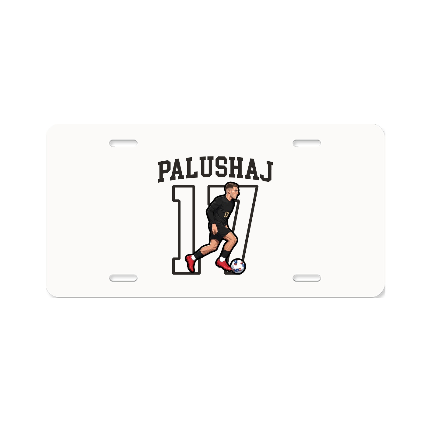 Aluminum License Plate