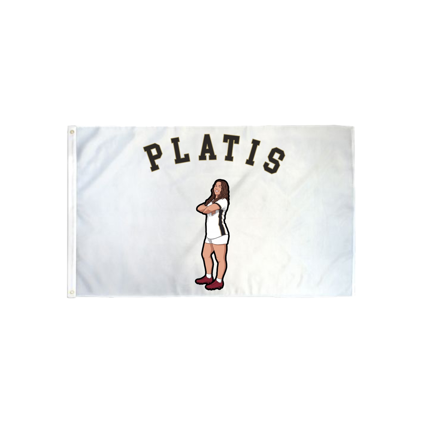 3x5 Flag — Shirsey Arch in Classic