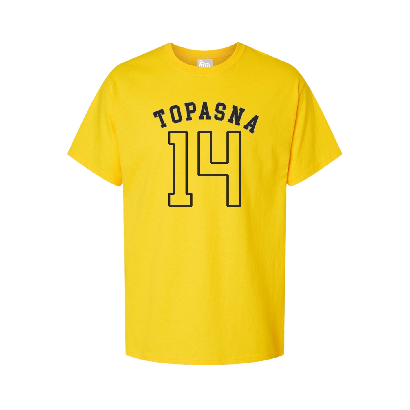 Youth Tee — Shirsey Arch in Gold