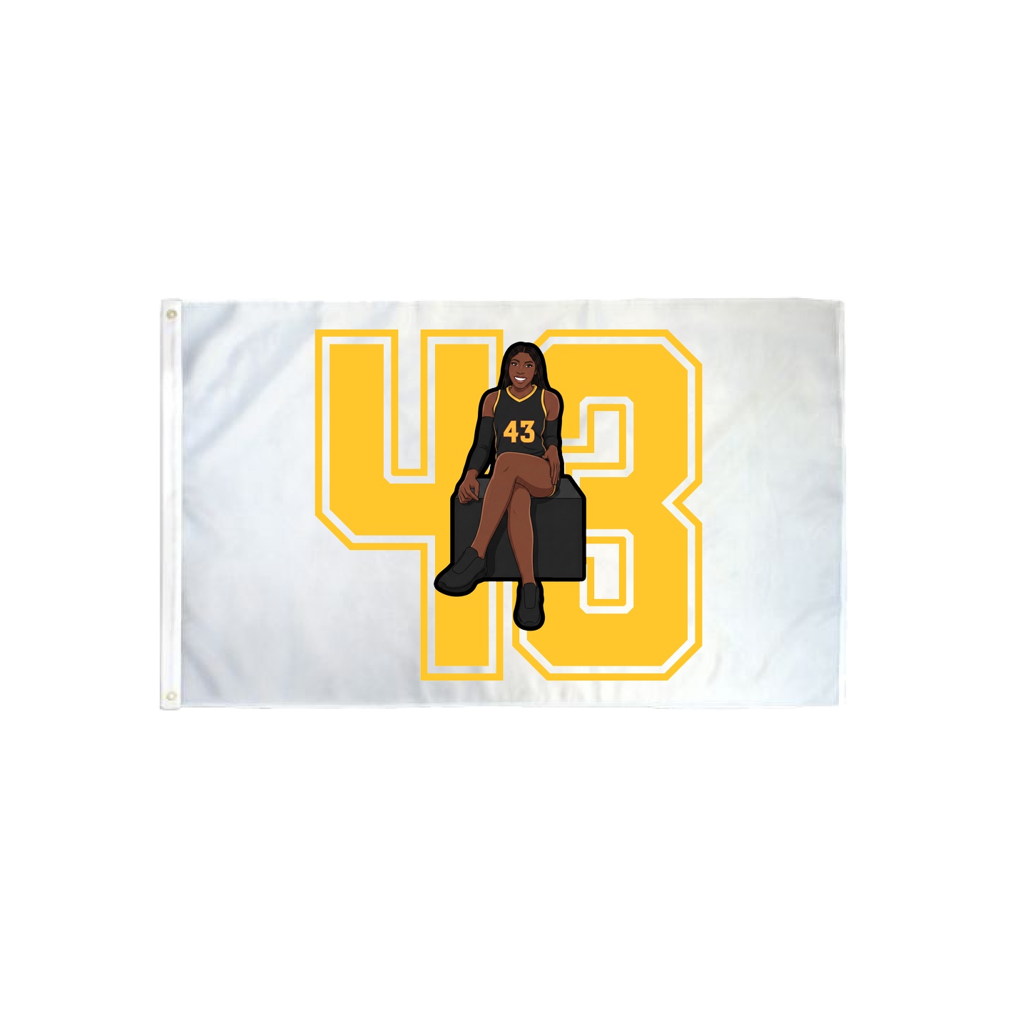 3x5 Flag — Number in Classic