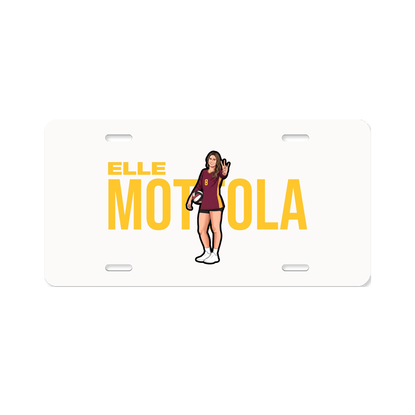 License Plate