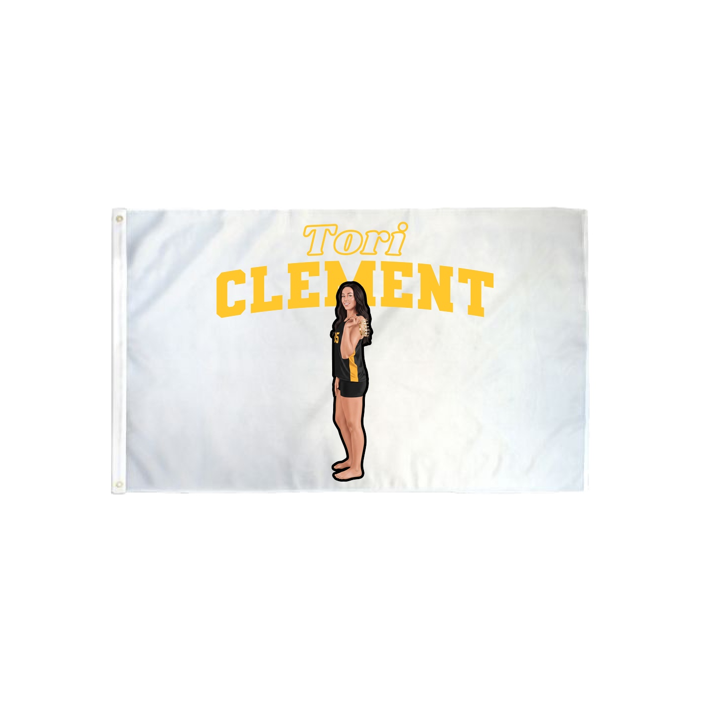 3x5 Flag — Name Arch in Classic