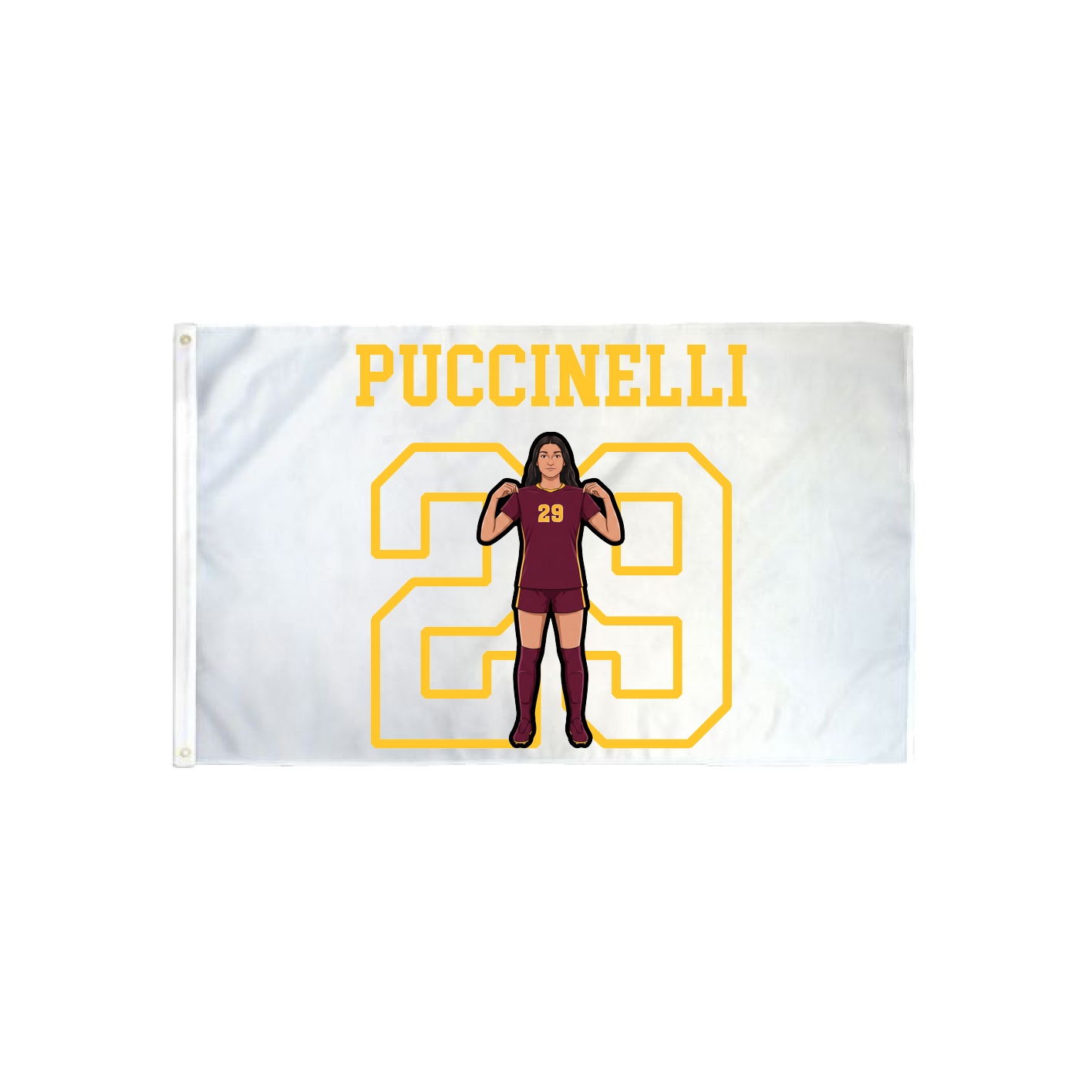 3x5 Flag — Shirsey in Classic