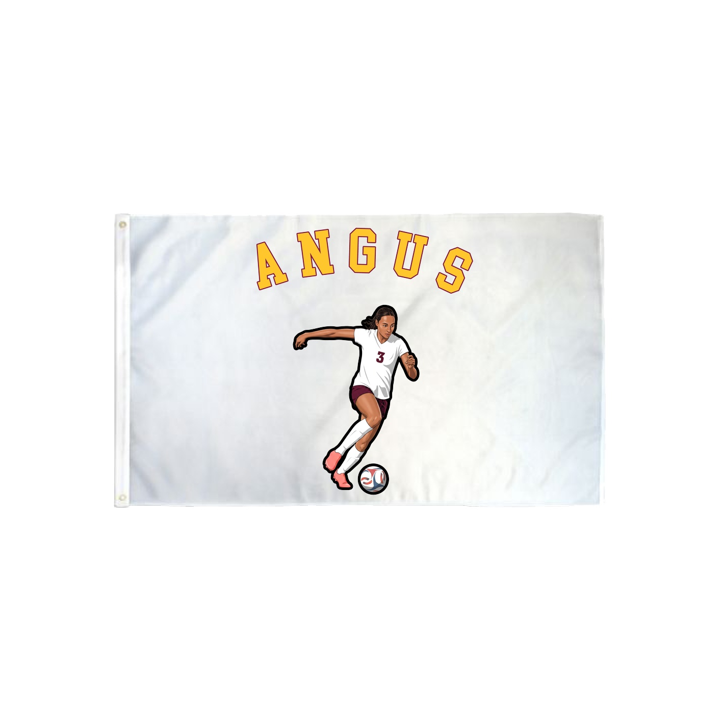 3x5 Flag — Shirsey Arch in Classic