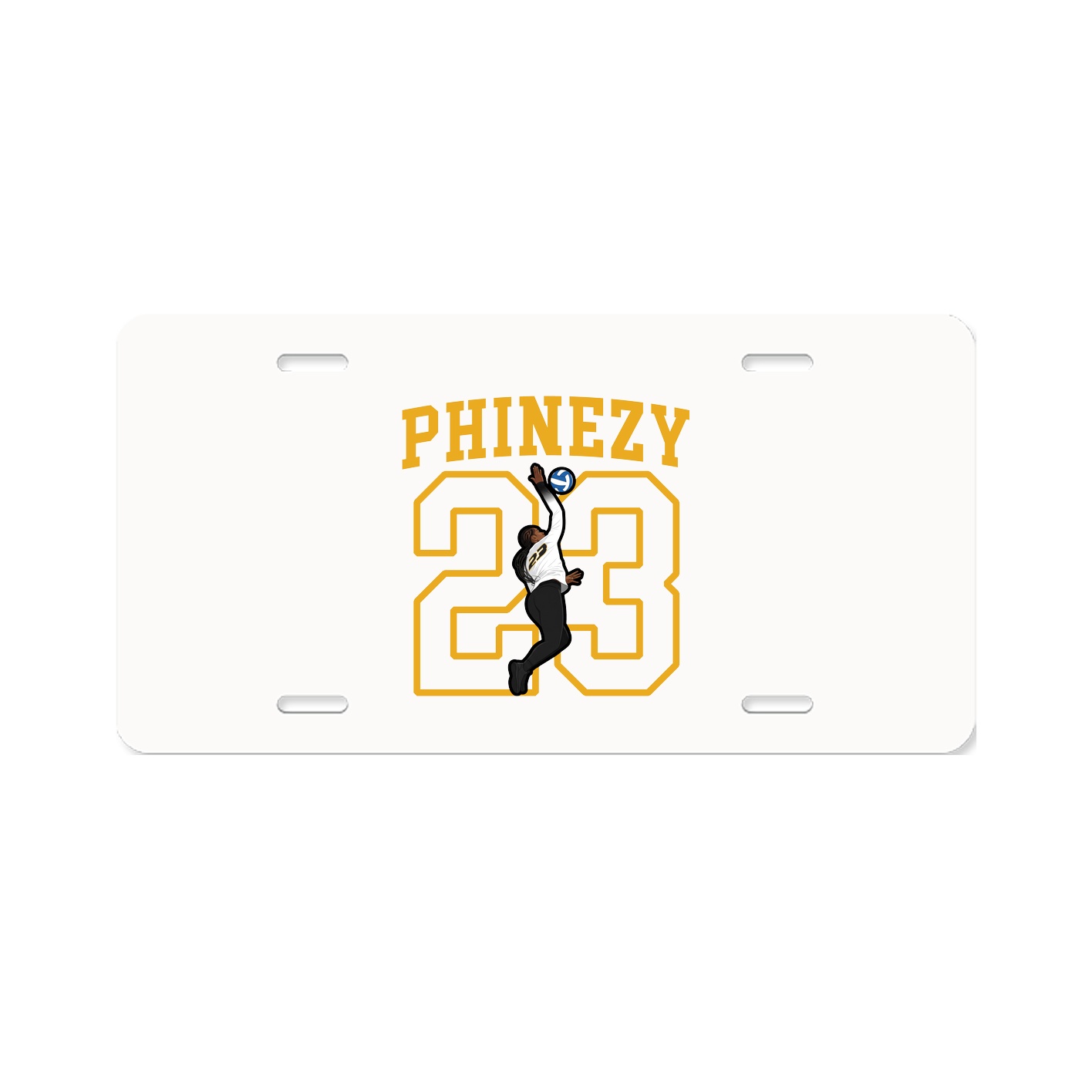 License Plate