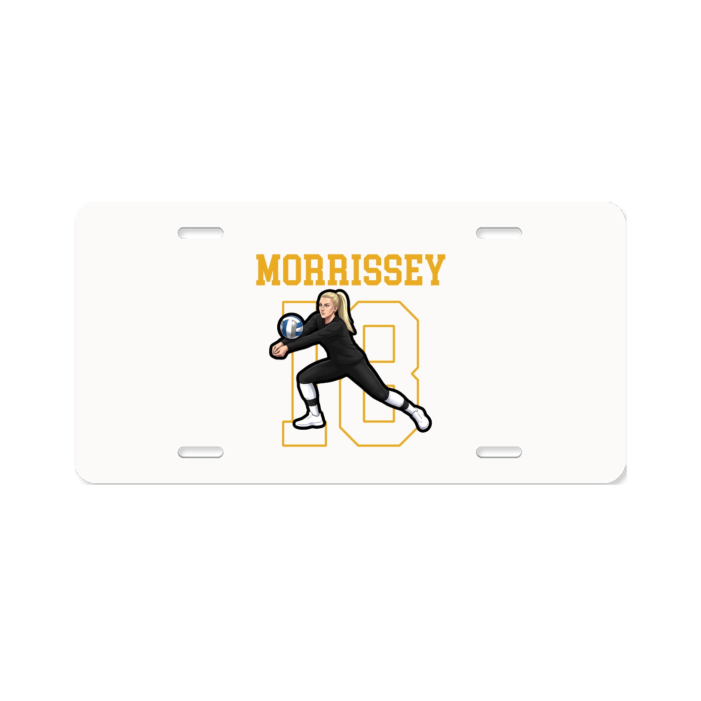 License Plate