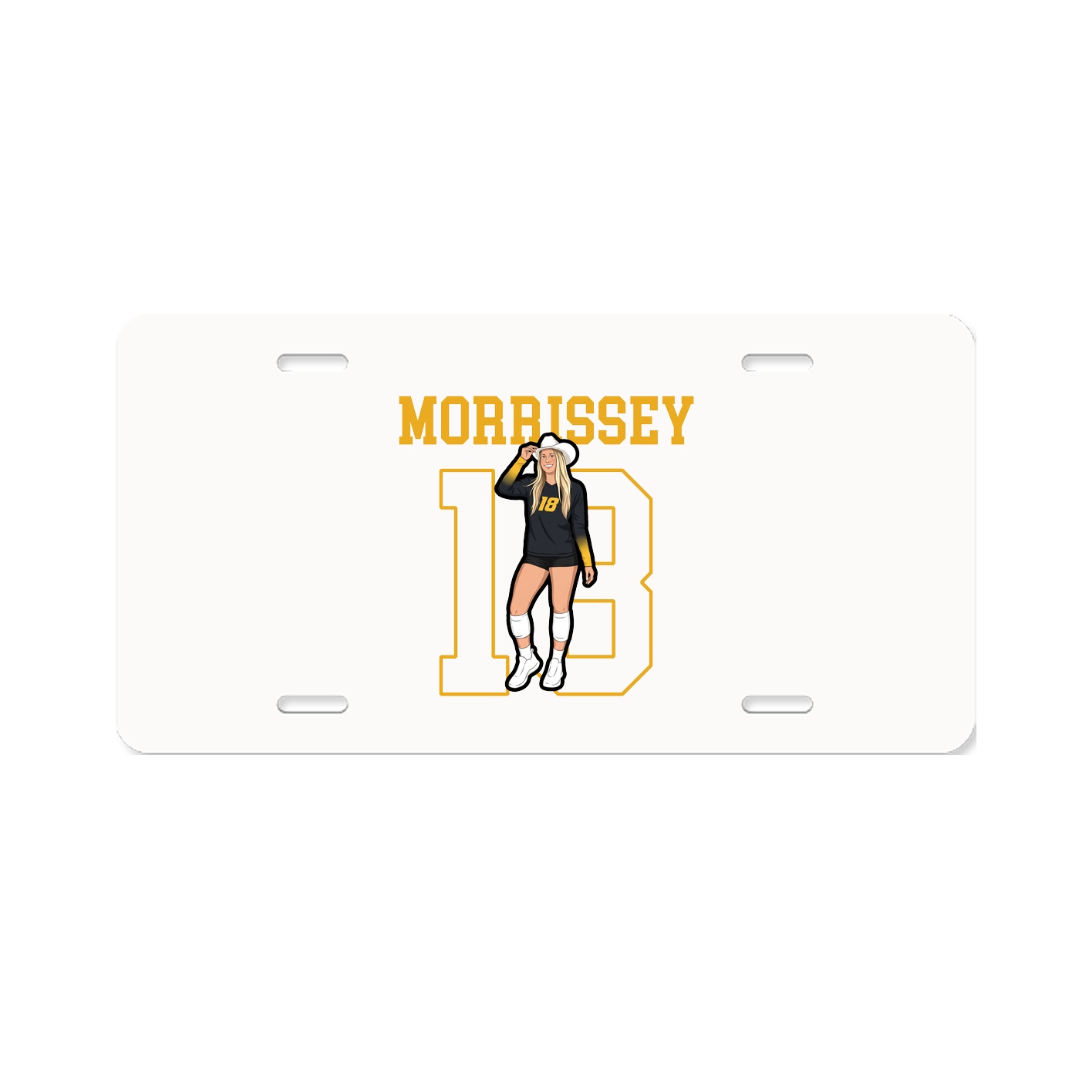 License Plate
