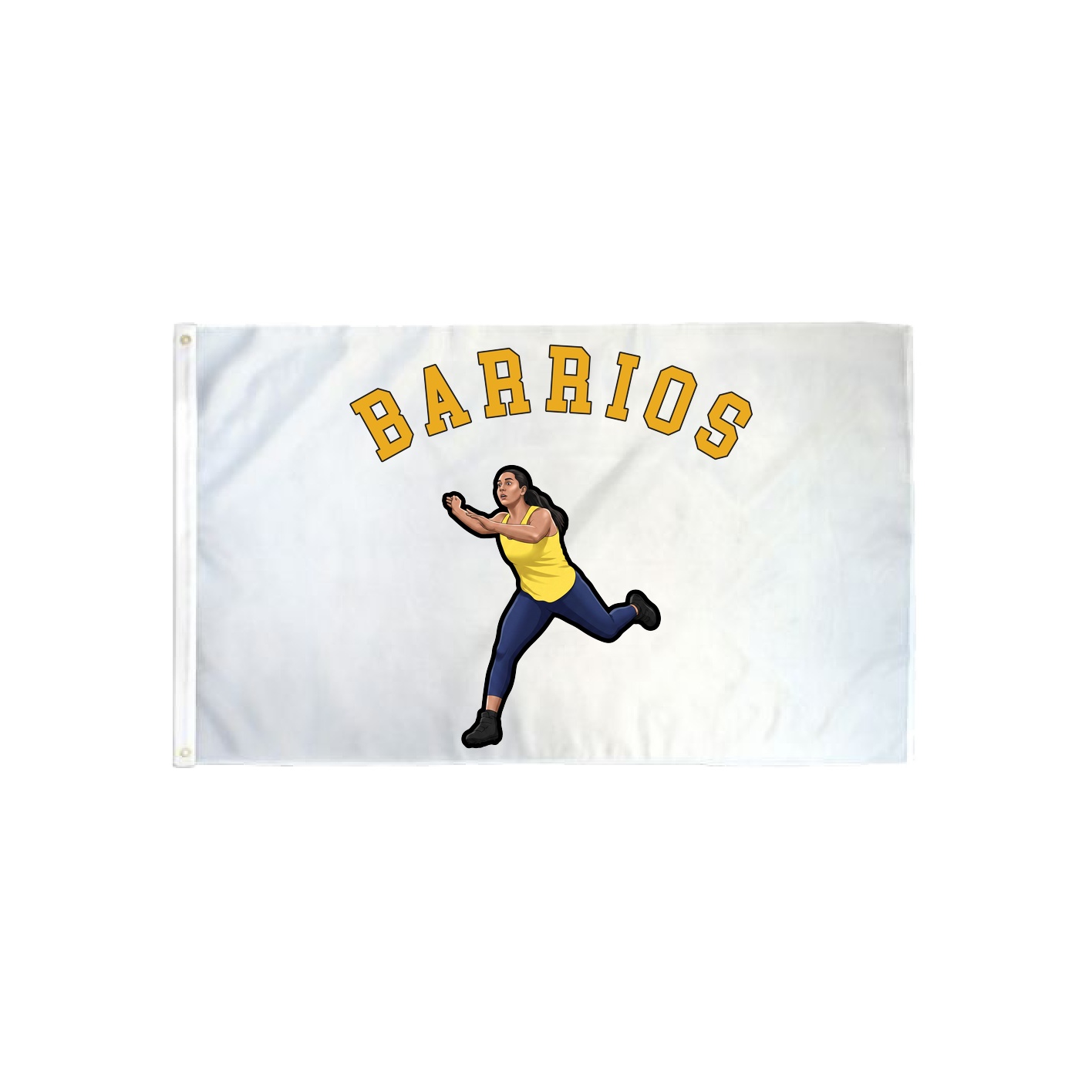 3x5 Flag — Shirsey Arch in Classic